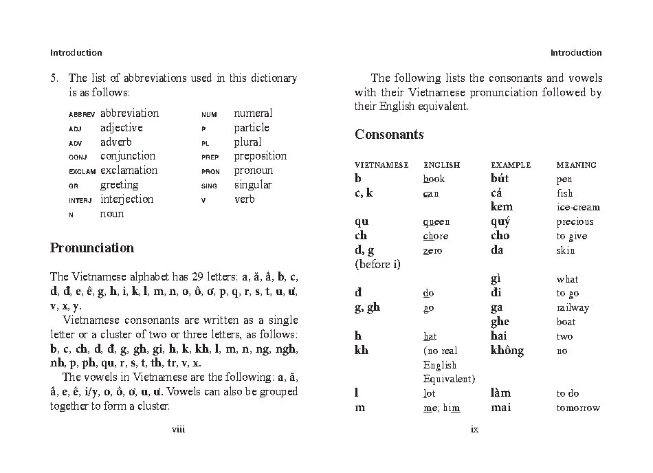 Mini Vietnamese Dictionary