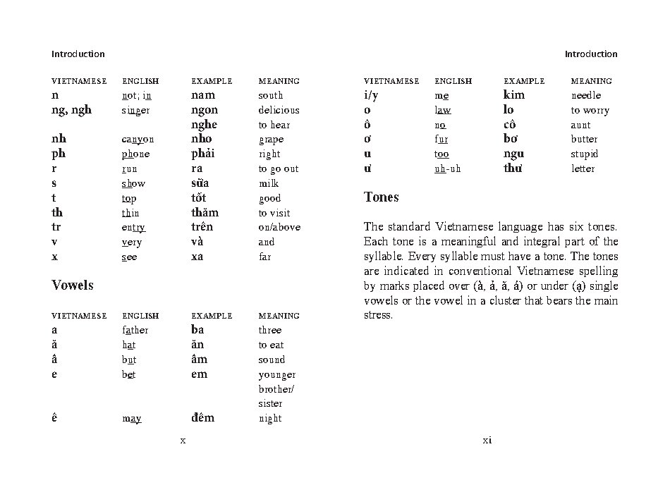 Mini Vietnamese Dictionary
