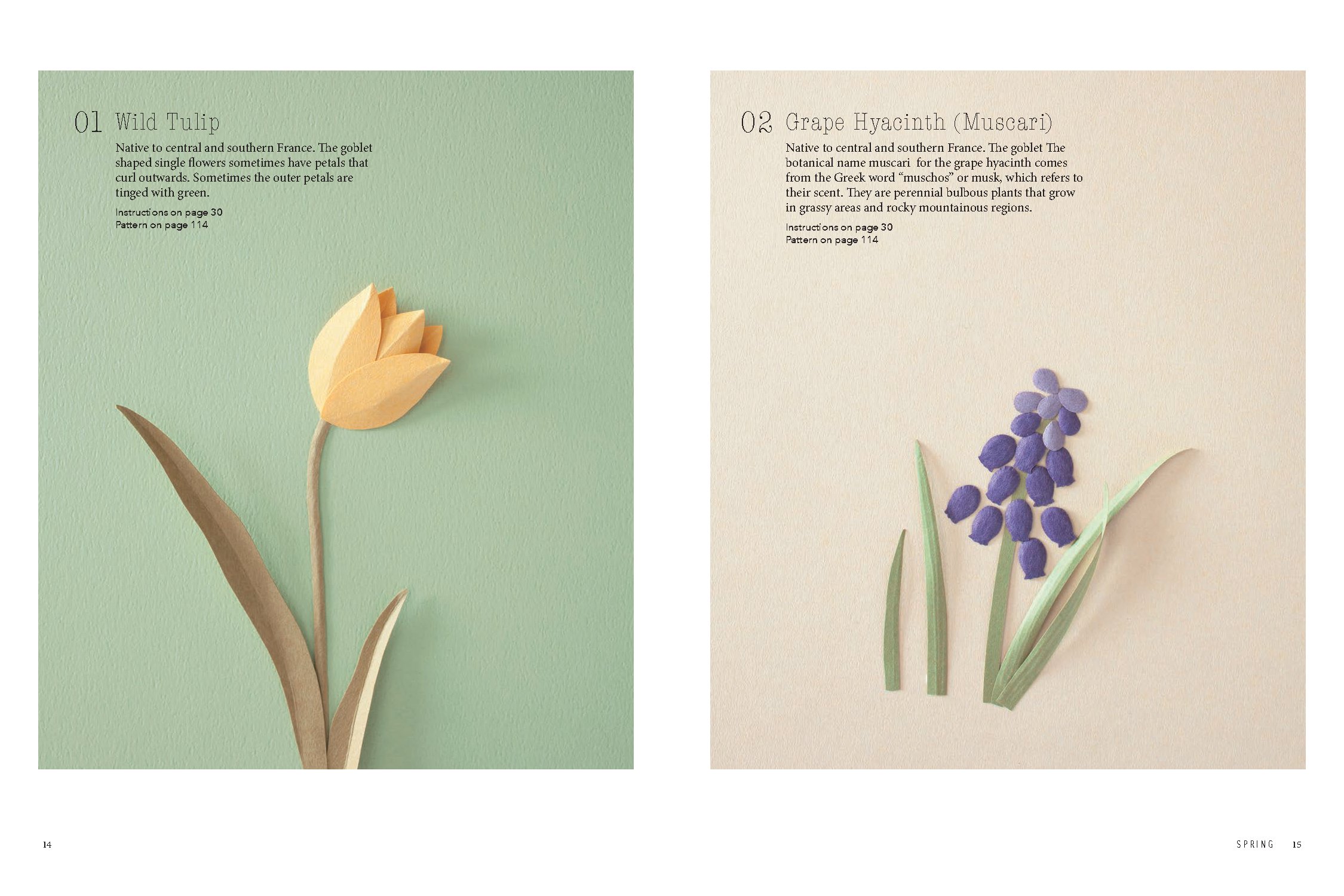 A Beginner's Guide to Paper Wildflowers