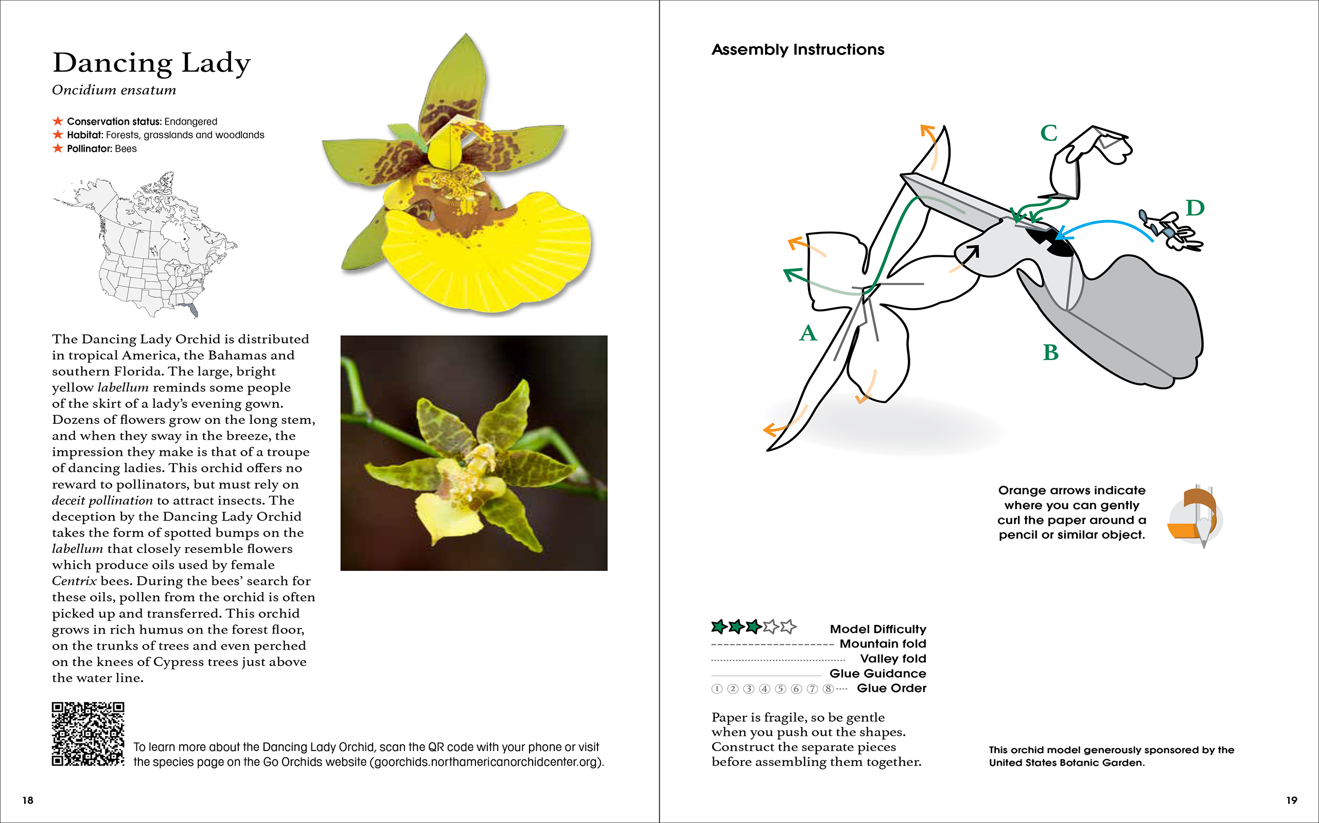 Origami Orchids Kit
