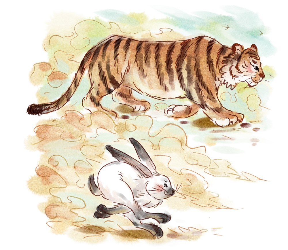 The Twelve Animals of the Chinese Zodiac