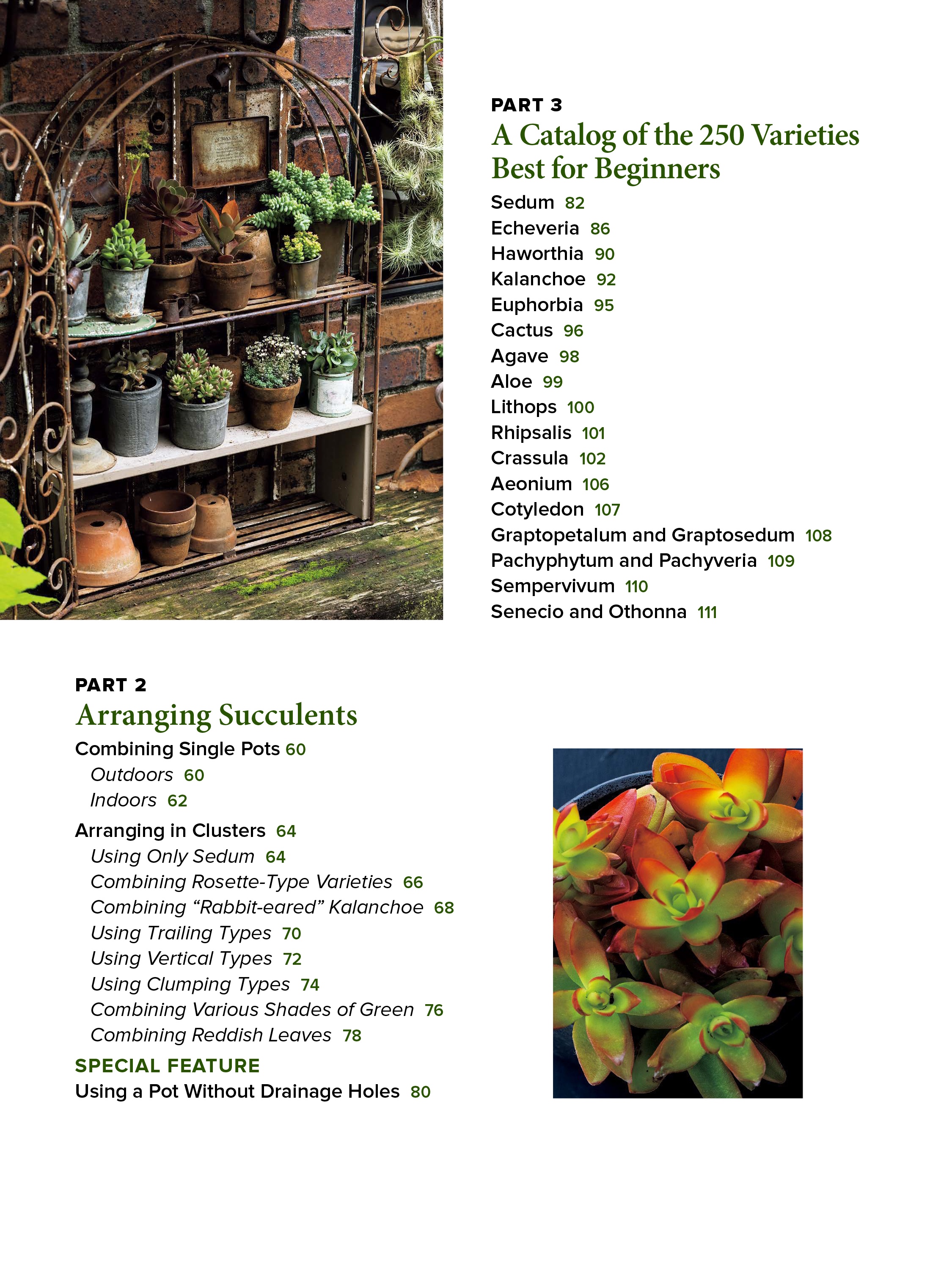 The Essential Book of Succulents