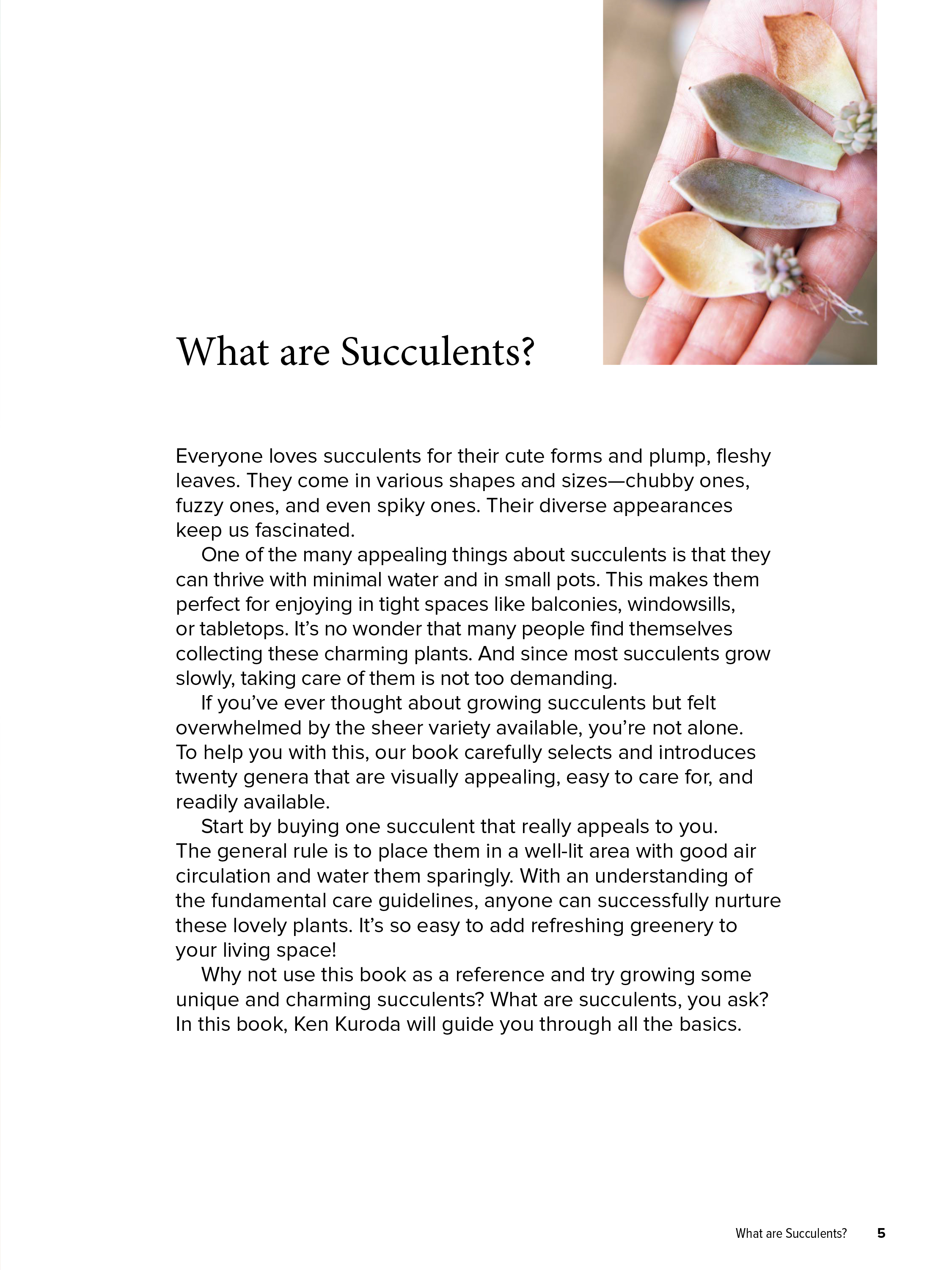 The Essential Book of Succulents