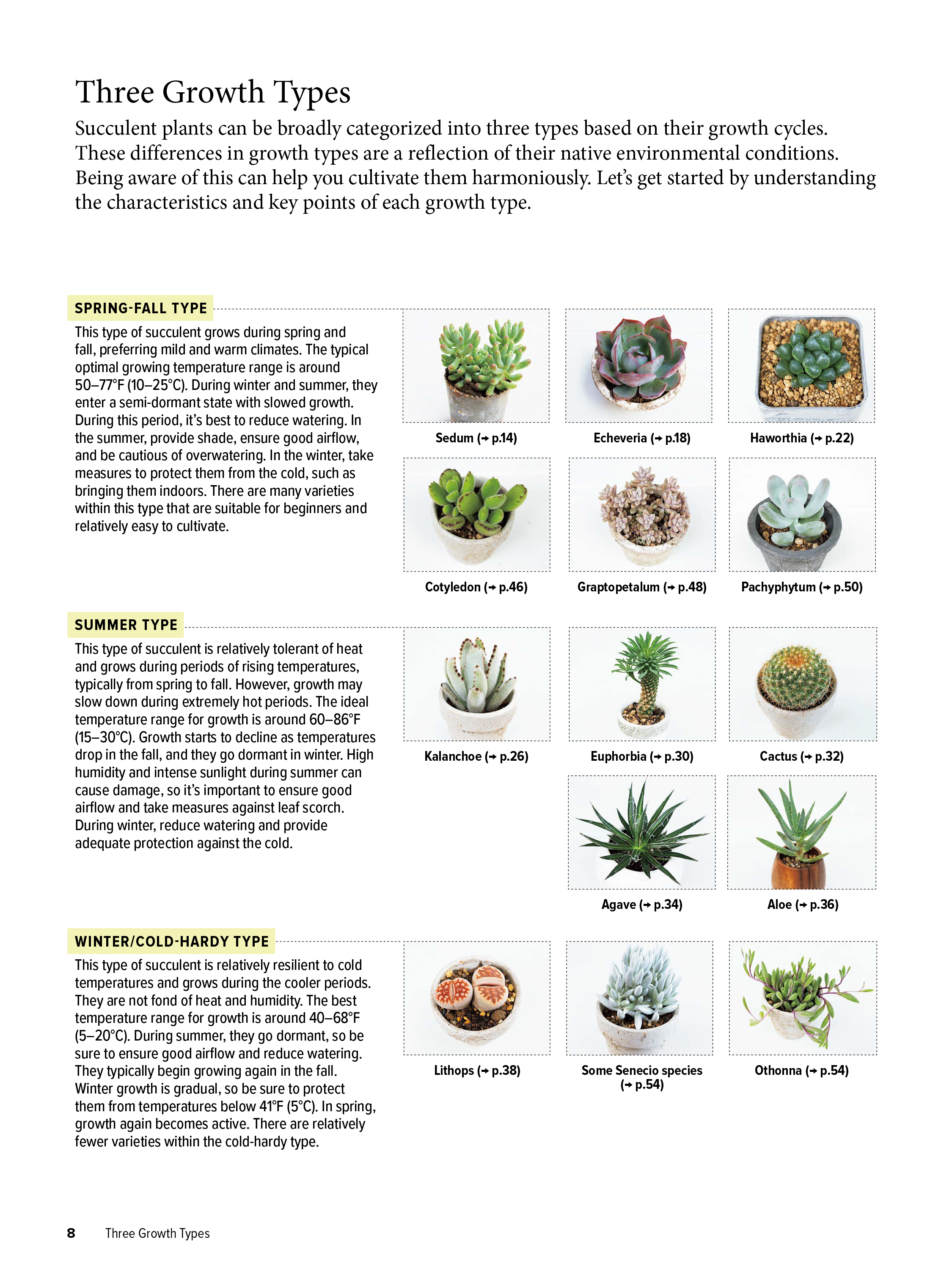 The Essential Book of Succulents