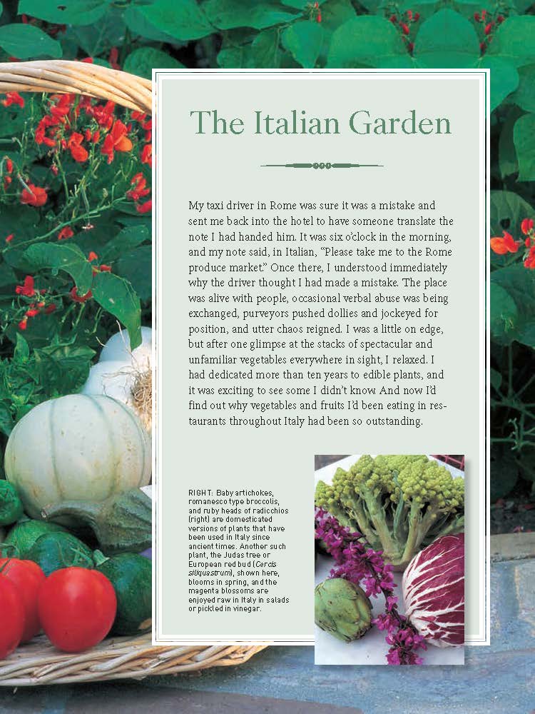 The Italian Vegetable Garden