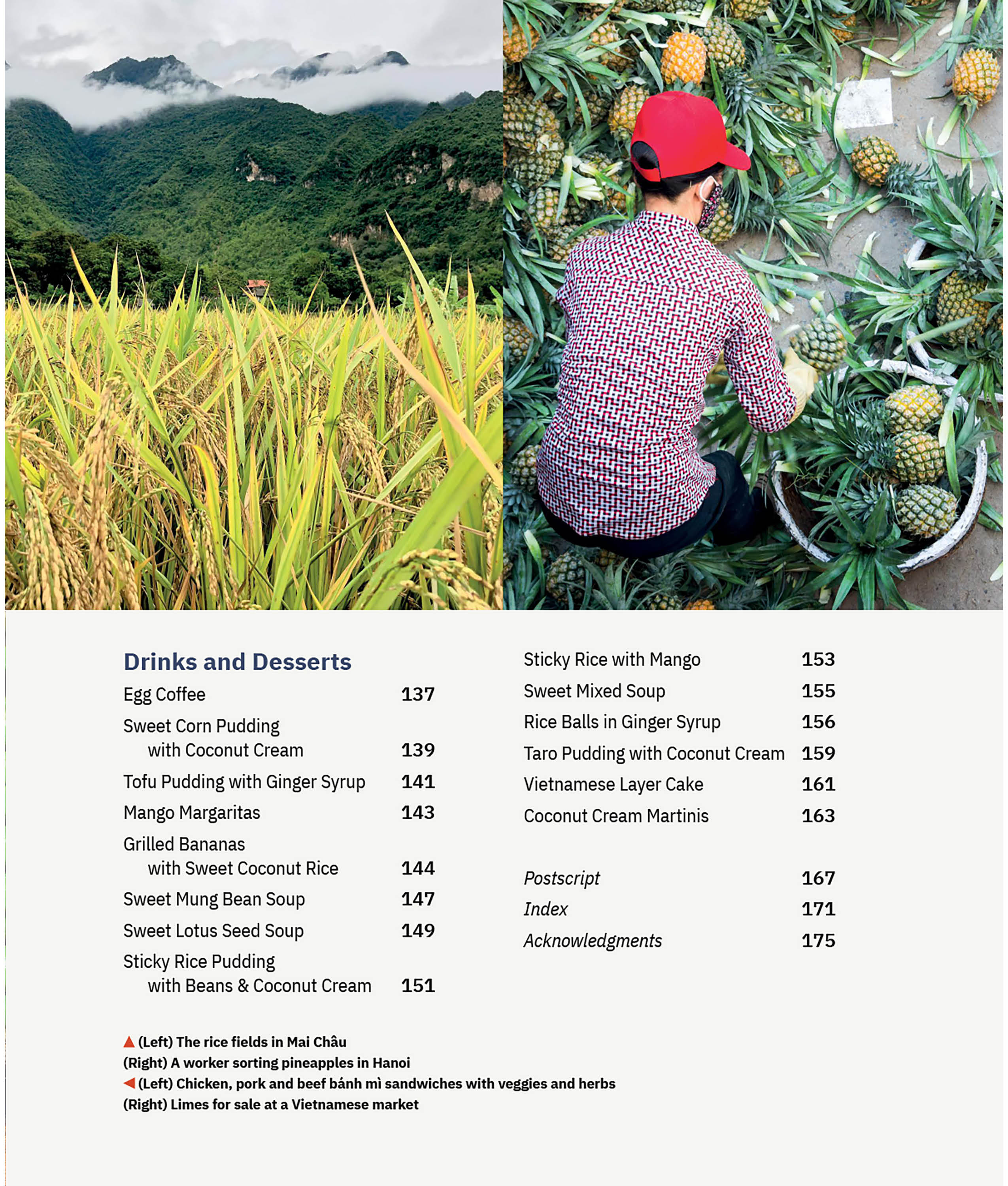 Vietnamese Food and Food Culture