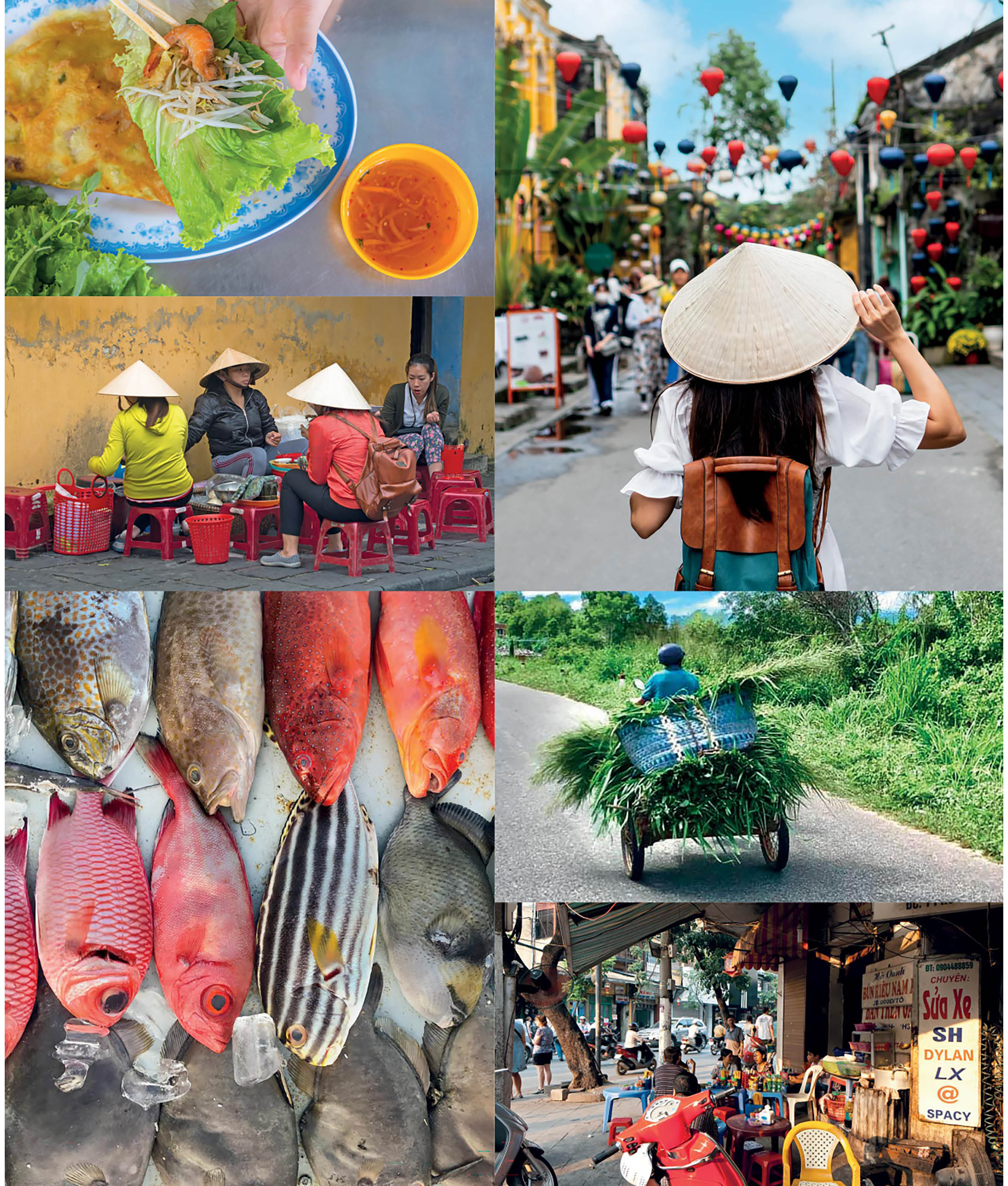 Vietnamese Food and Food Culture