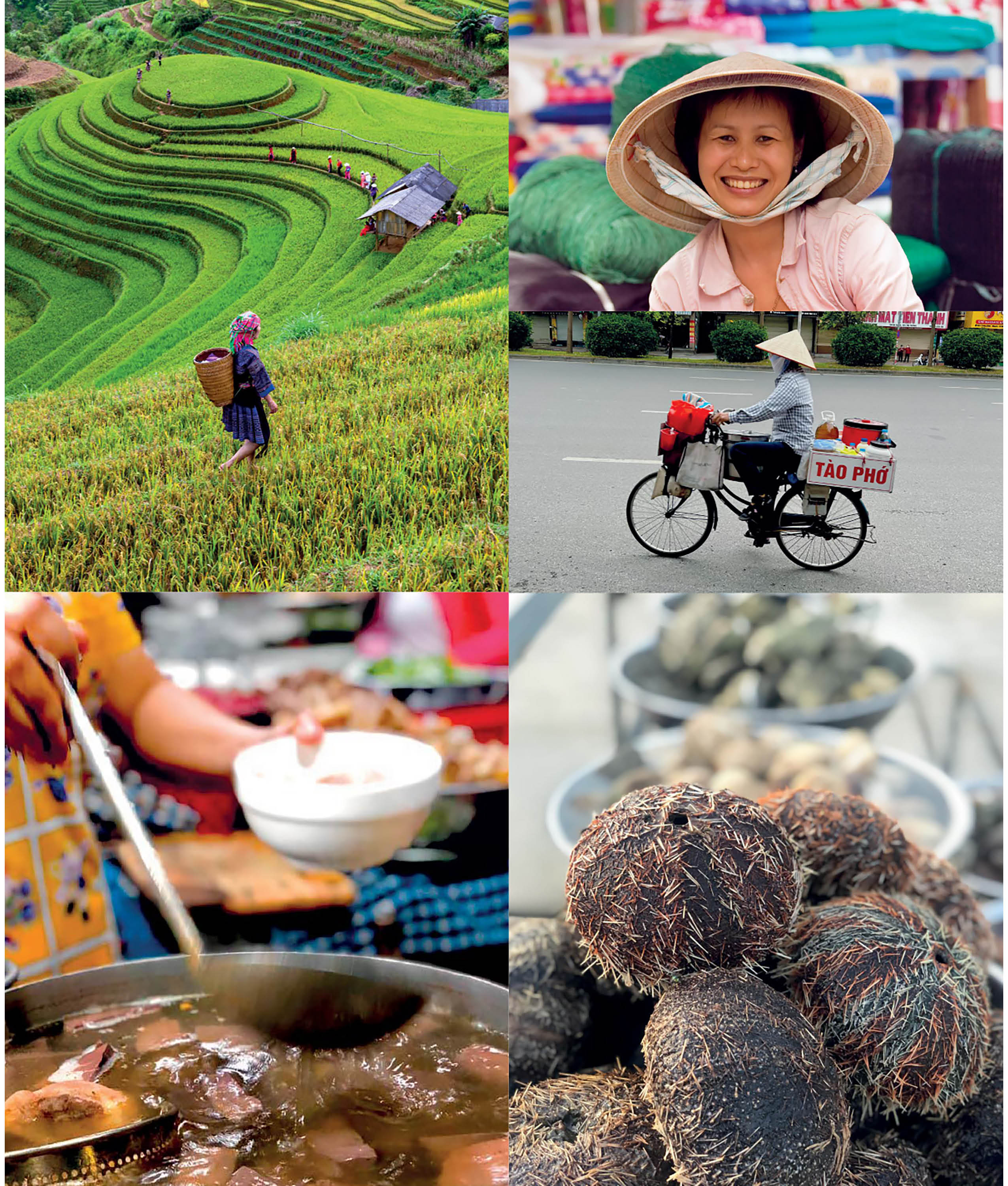 Vietnamese Food and Food Culture