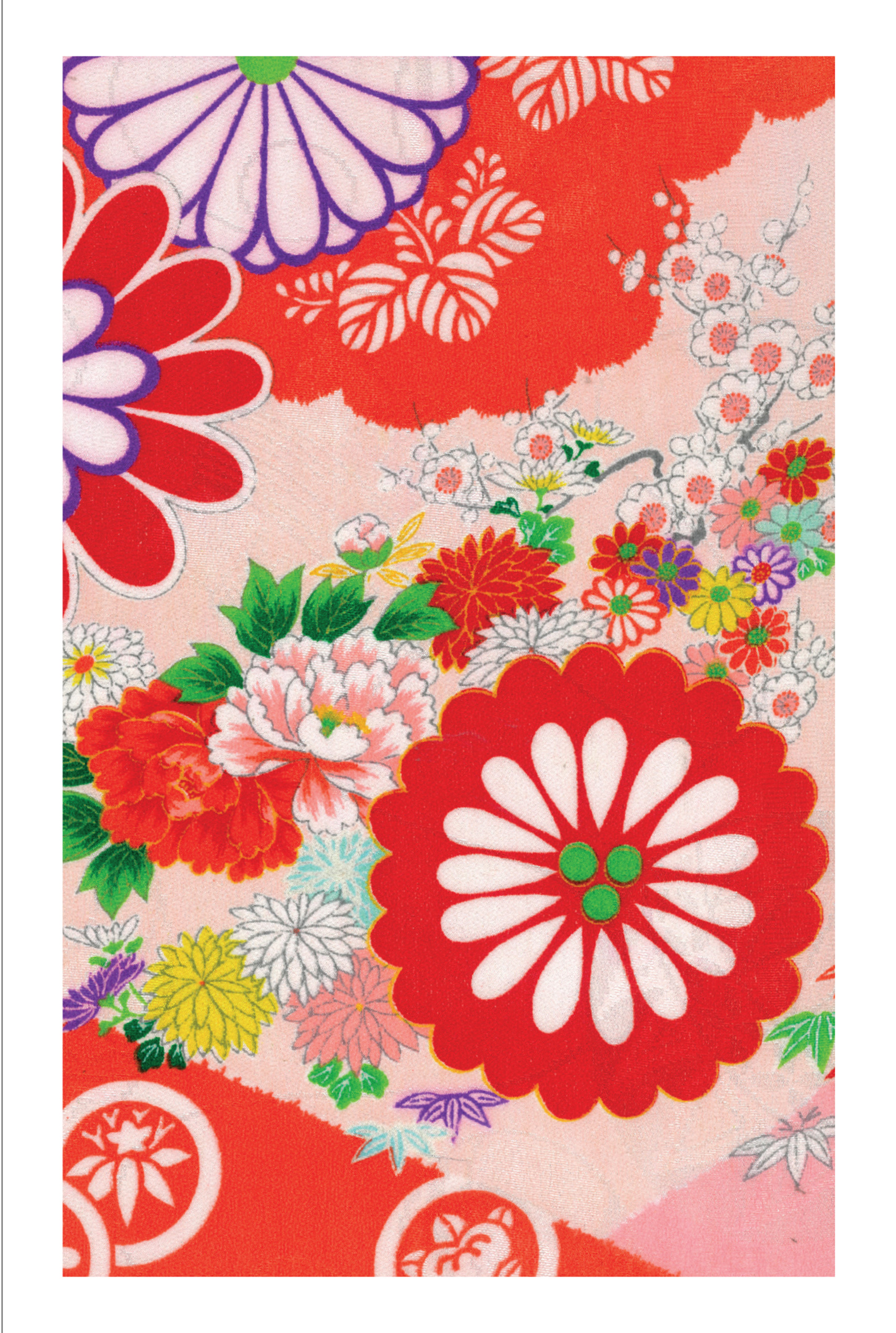 Chrysanthemums, 12 Note Cards