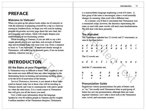 Survival Vietnamese Phrasebook & Dictionary