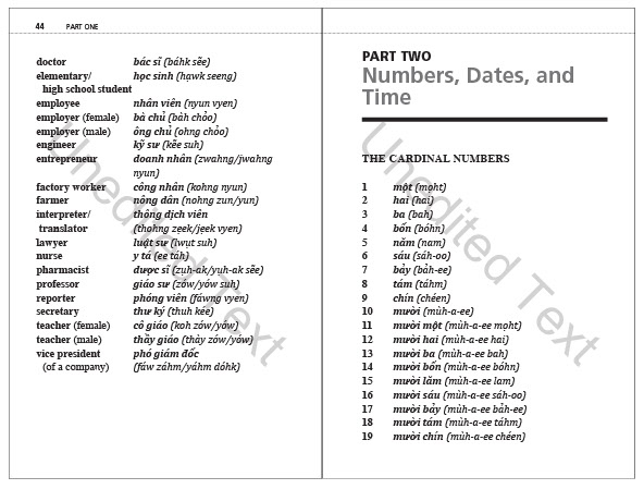 Survival Vietnamese Phrasebook & Dictionary