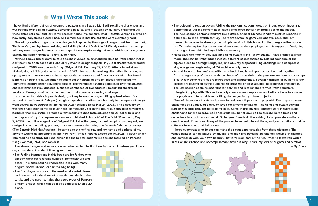Einstein Origami Paper Puzzles & Games