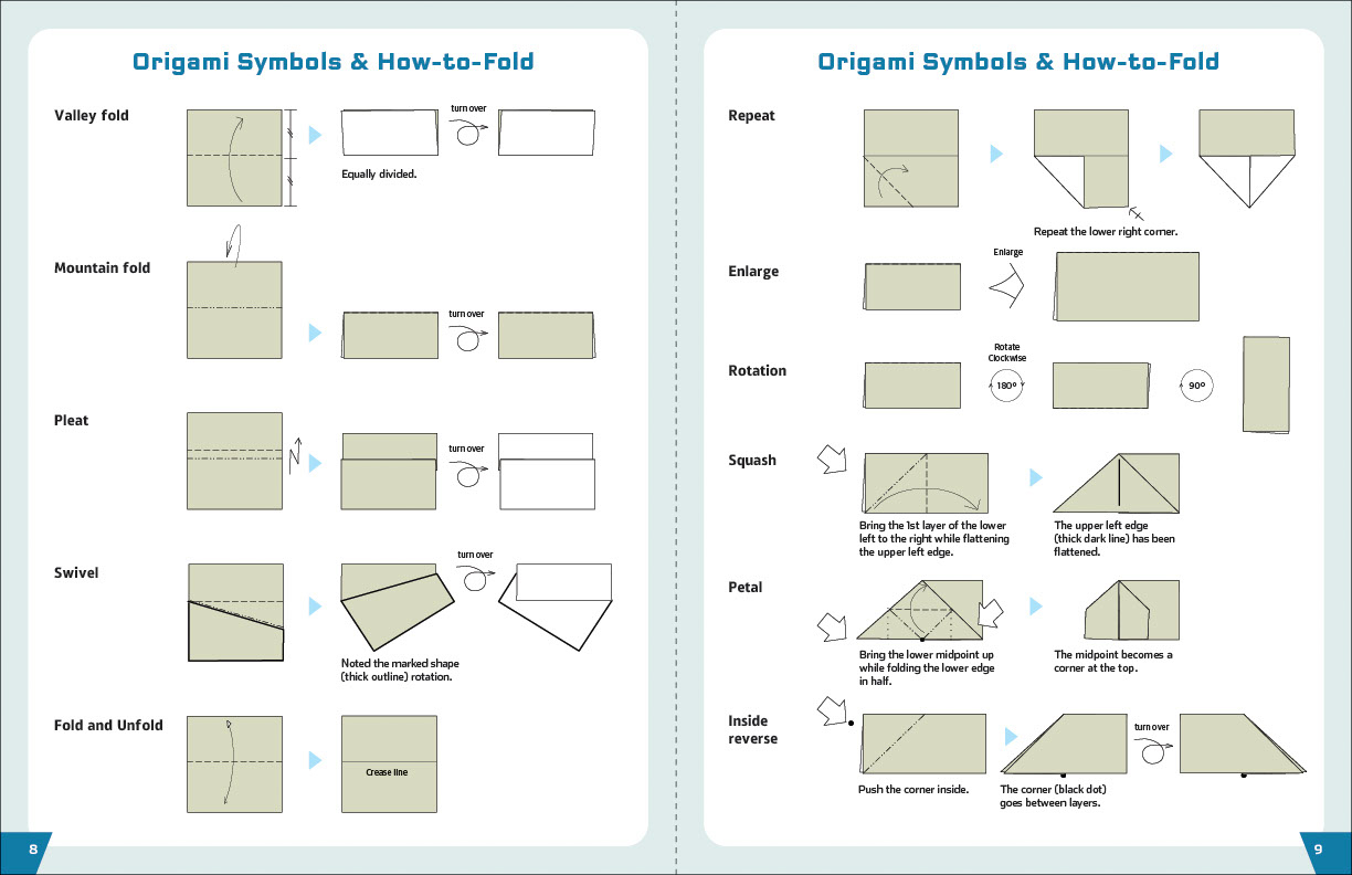 Einstein Origami Paper Puzzles & Games