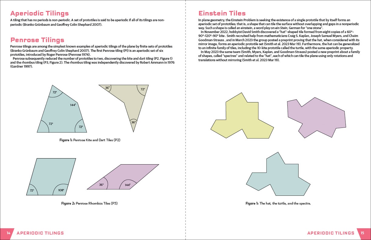 Einstein Origami Paper Puzzles & Games