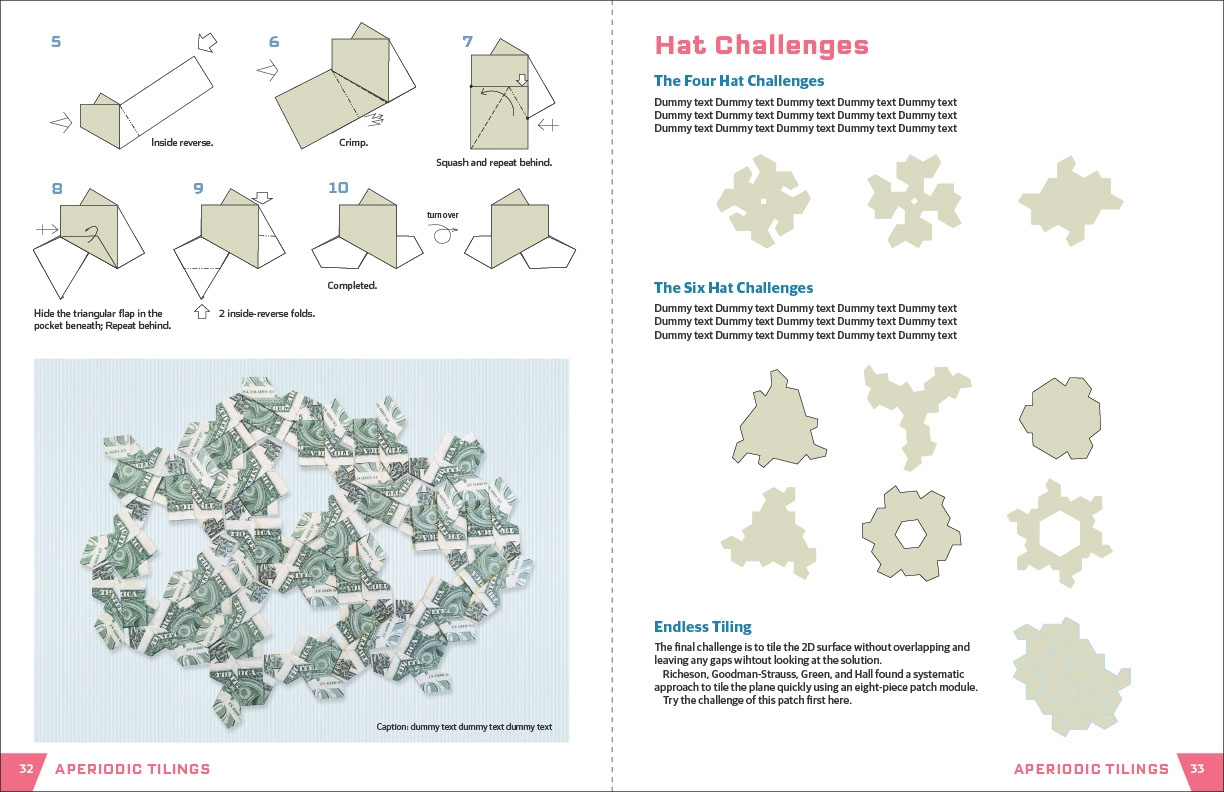 Einstein Origami Paper Puzzles & Games
