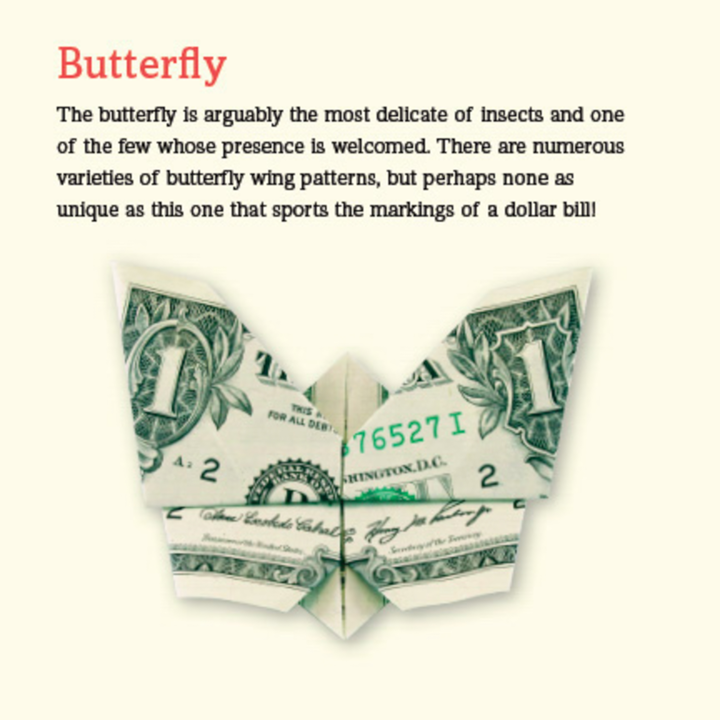 Dollar Origami Kit