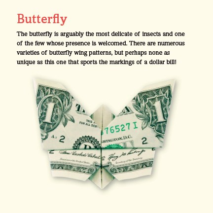 Dollar Origami Kit