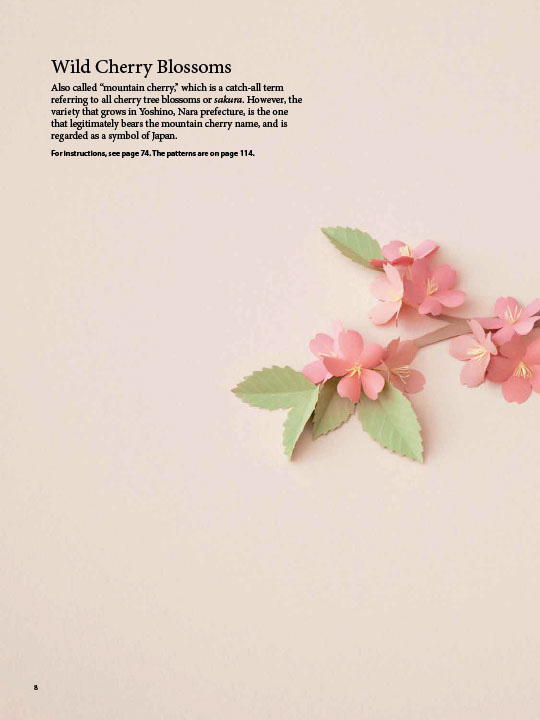 Fabulous Paper Flowers