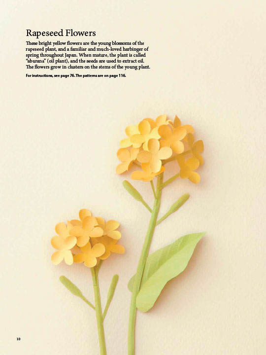 Fabulous Paper Flowers