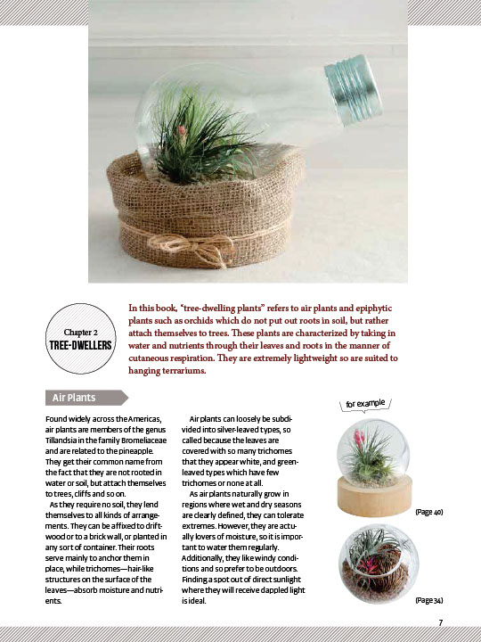 Miniature Terrariums