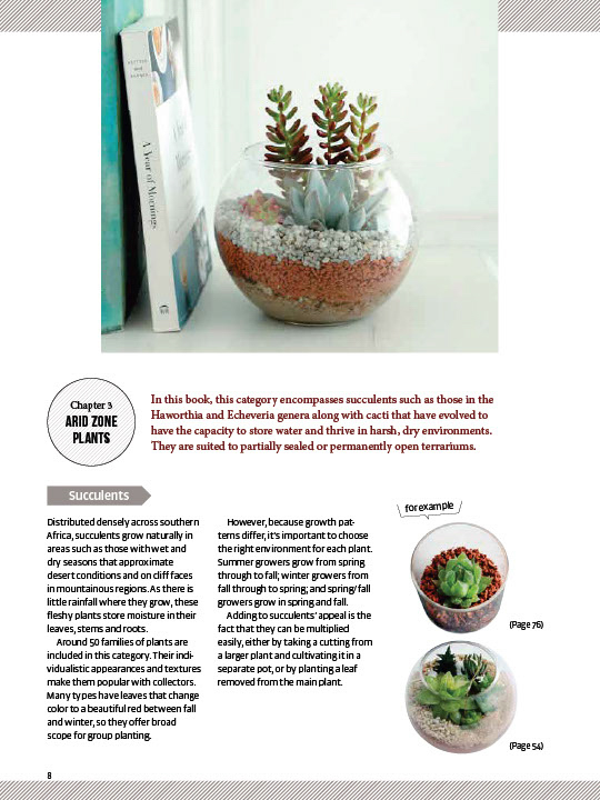 Miniature Terrariums