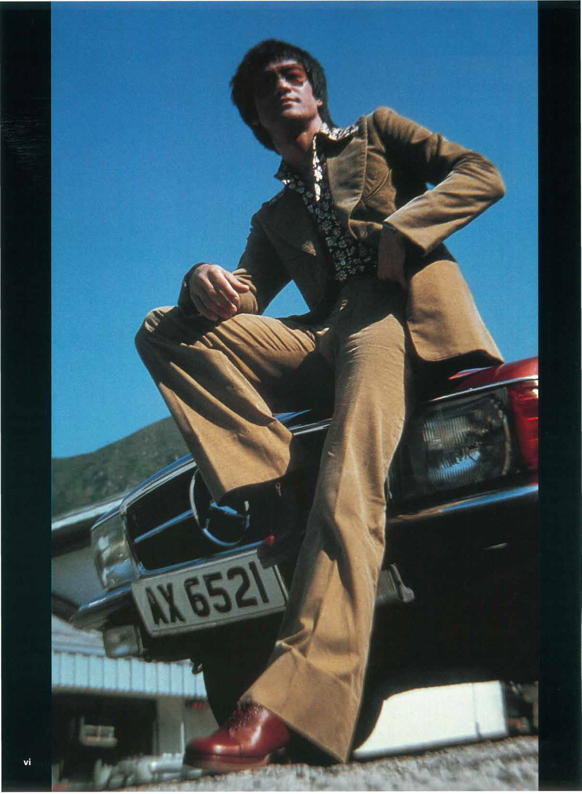 Bruce Lee: The Celebrated Life of the Golden Dragon