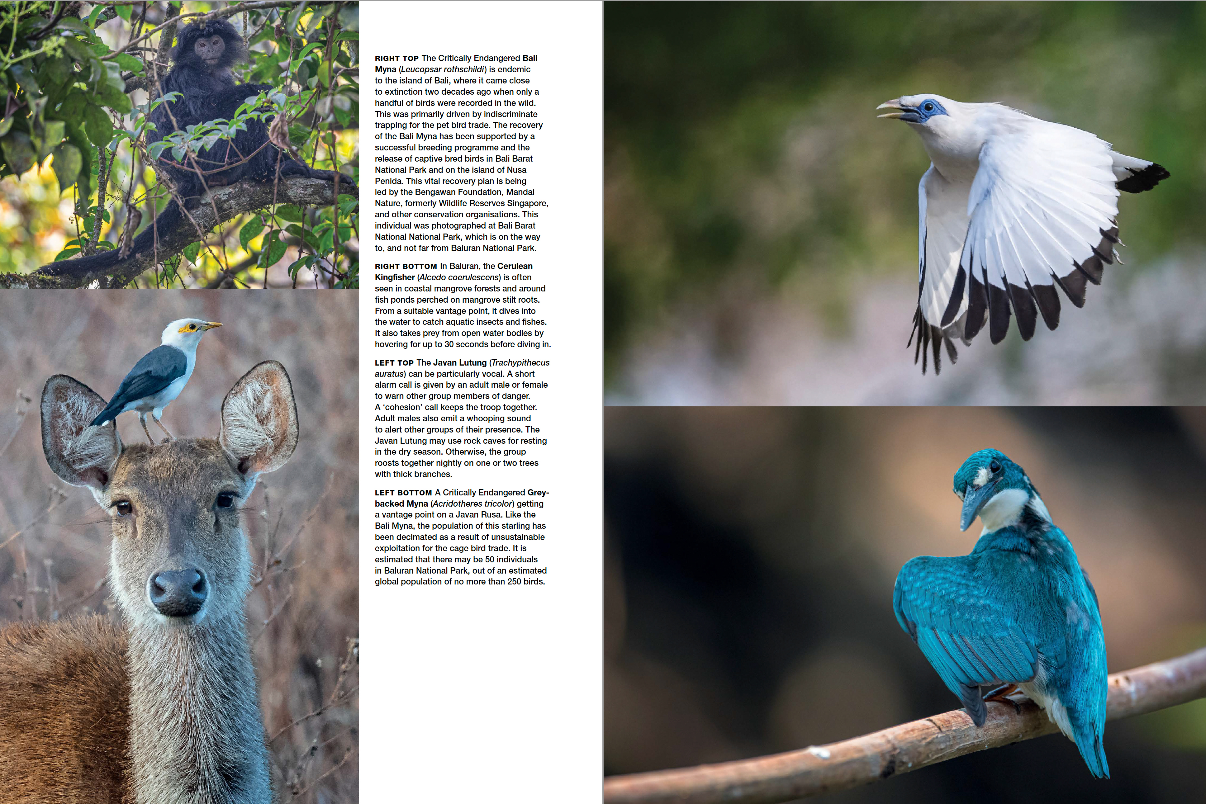 Asia's Greatest Wildlife Sanctuaries