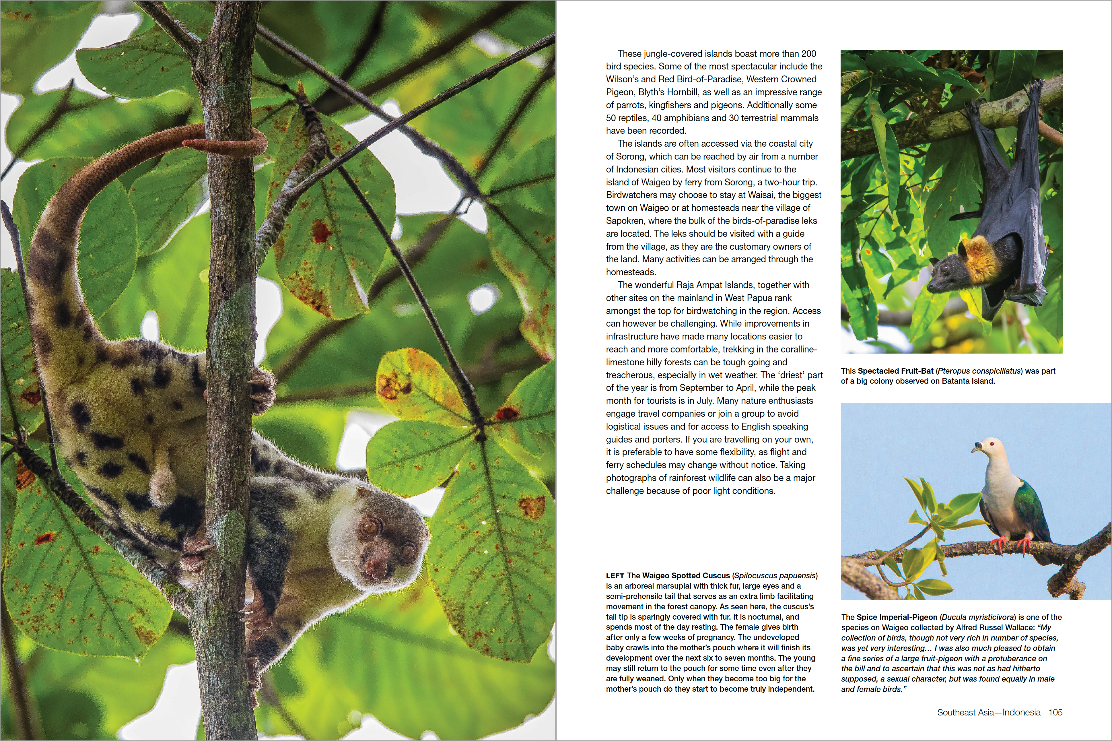 Asia's Greatest Wildlife Sanctuaries