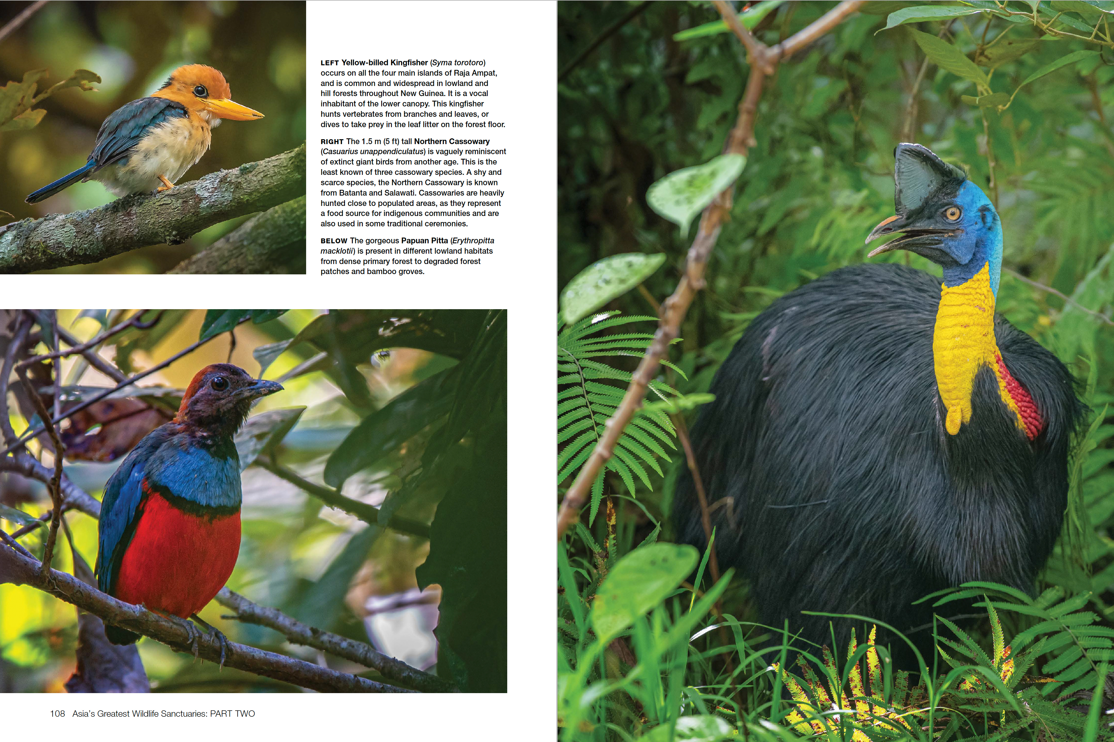 Asia's Greatest Wildlife Sanctuaries