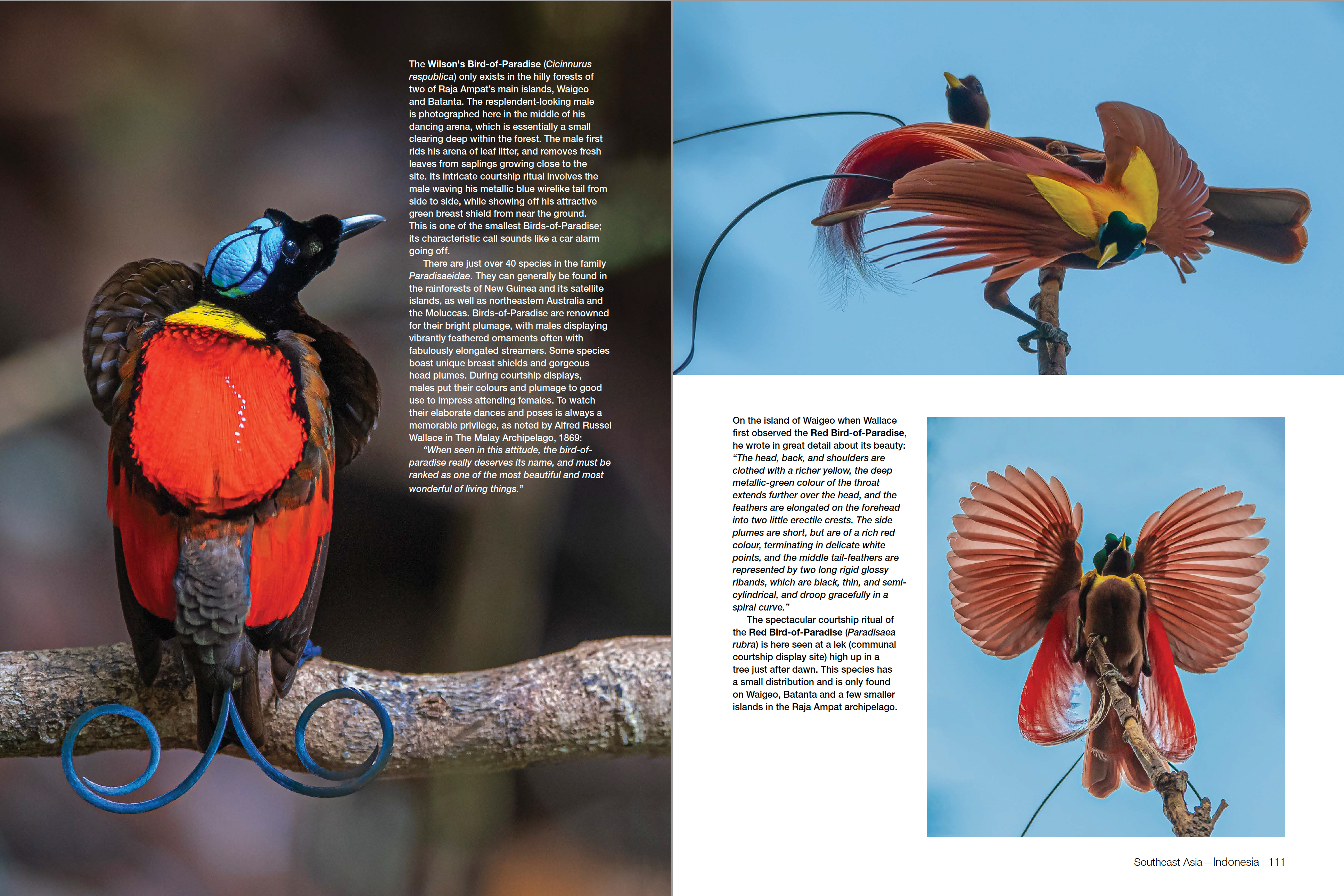 Asia's Greatest Wildlife Sanctuaries