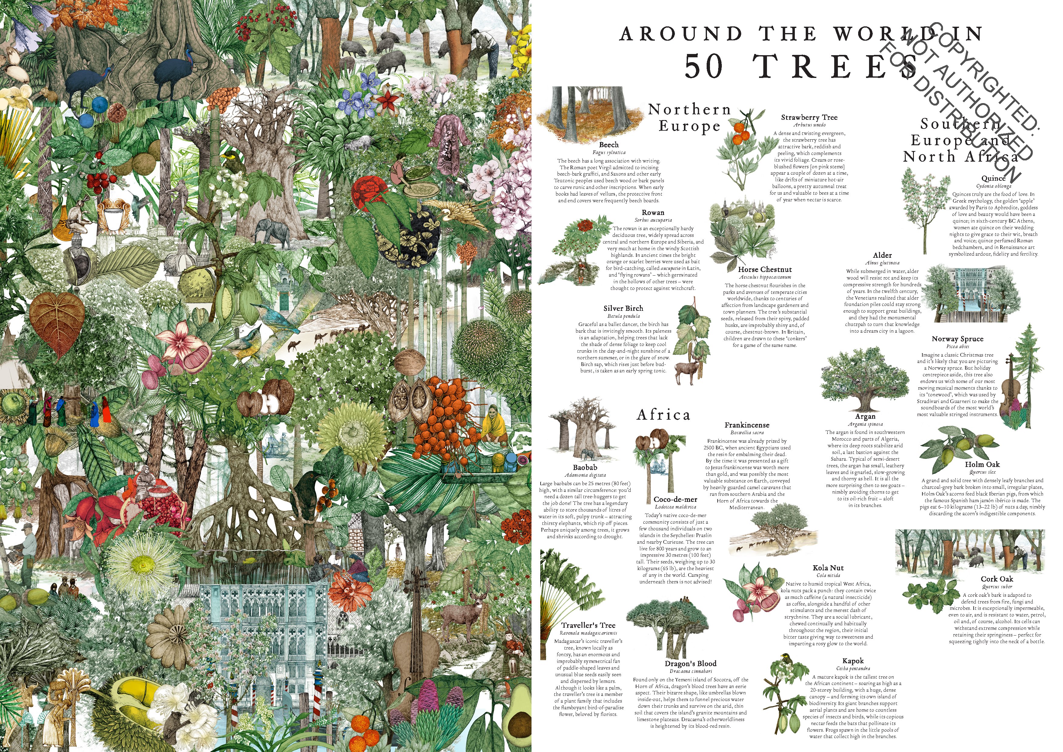 Around the World in 50 Trees 1000 Piece Puzzle