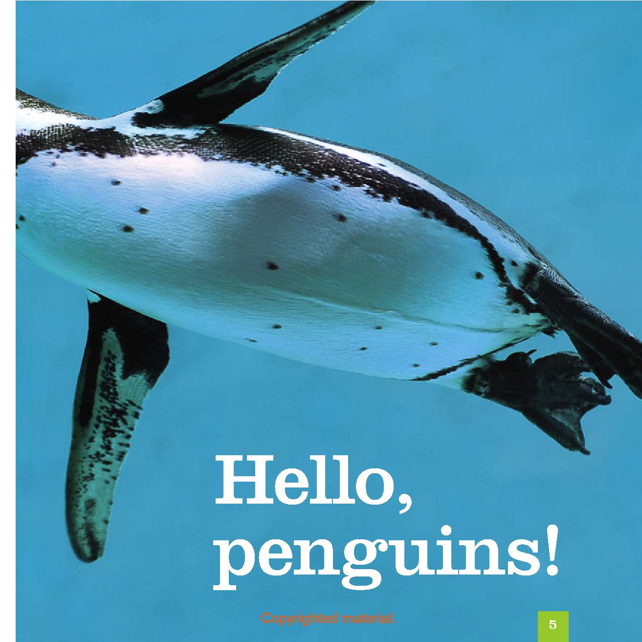 Seedlings: Penguins