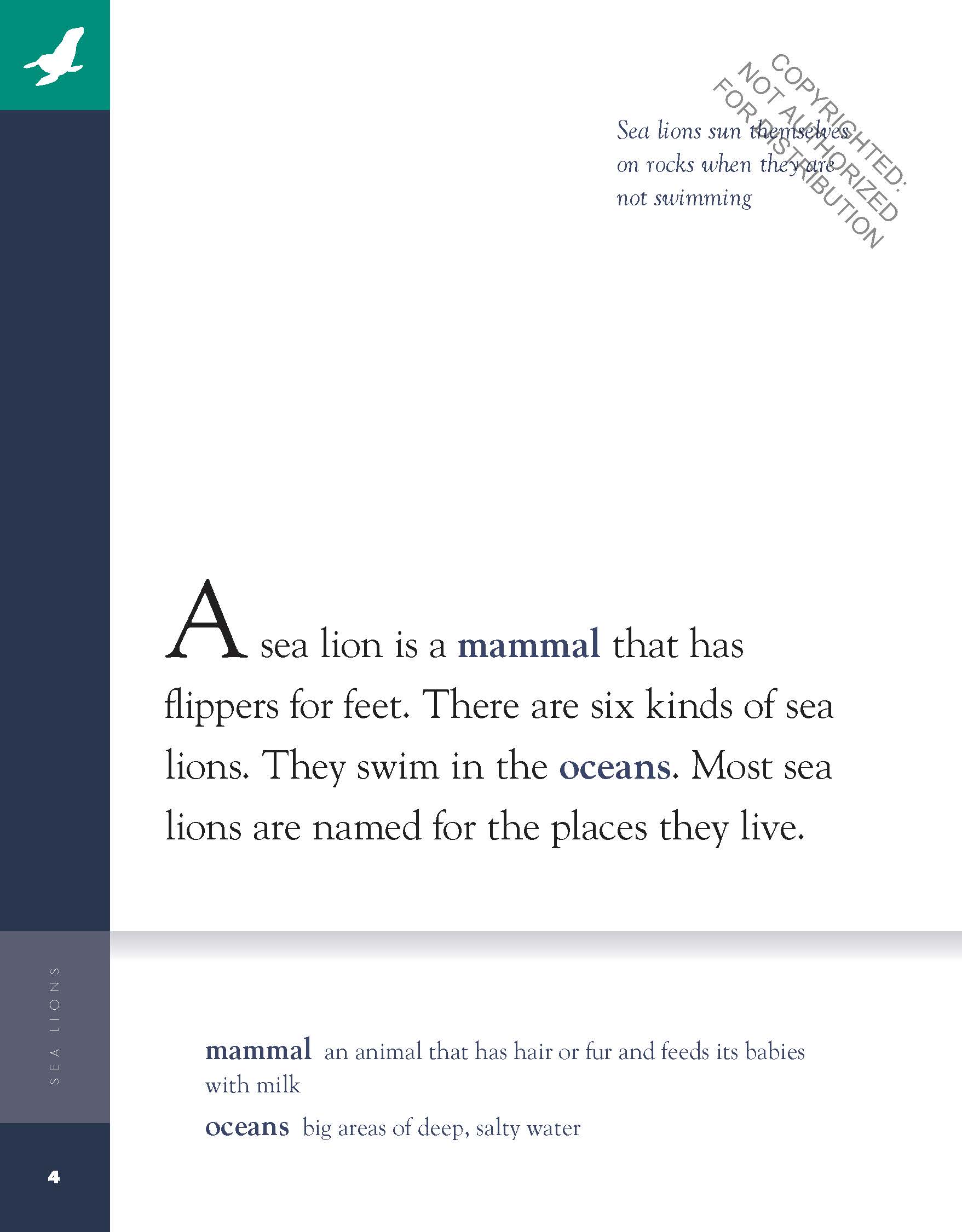 Amazing Animals: Sea Lions