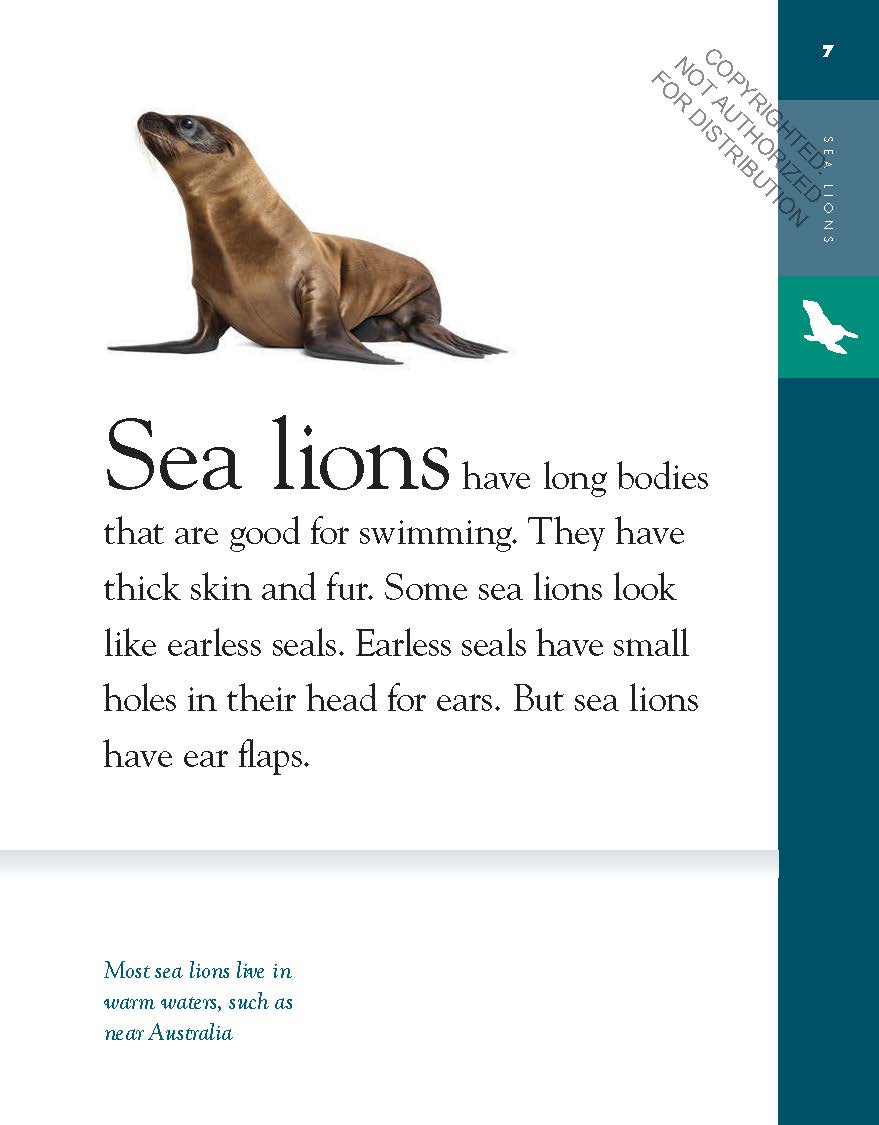 Amazing Animals: Sea Lions