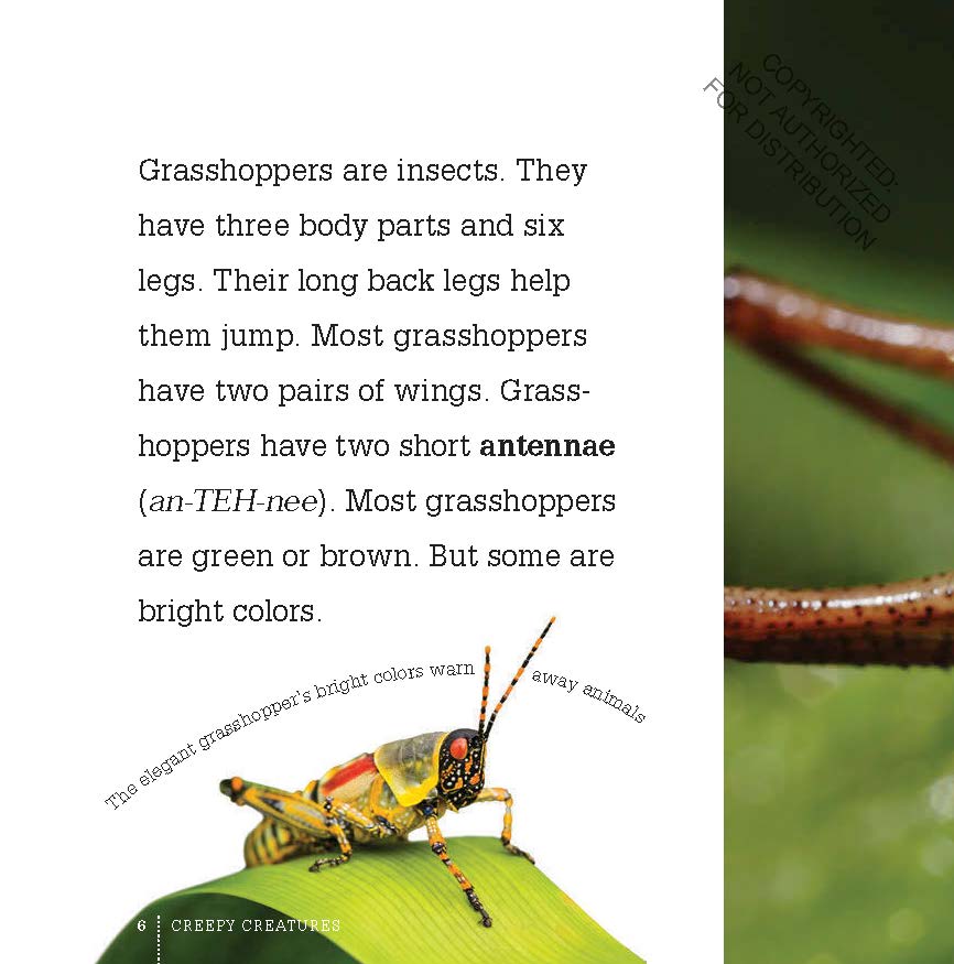 Creepy Creatures: Grasshoppers