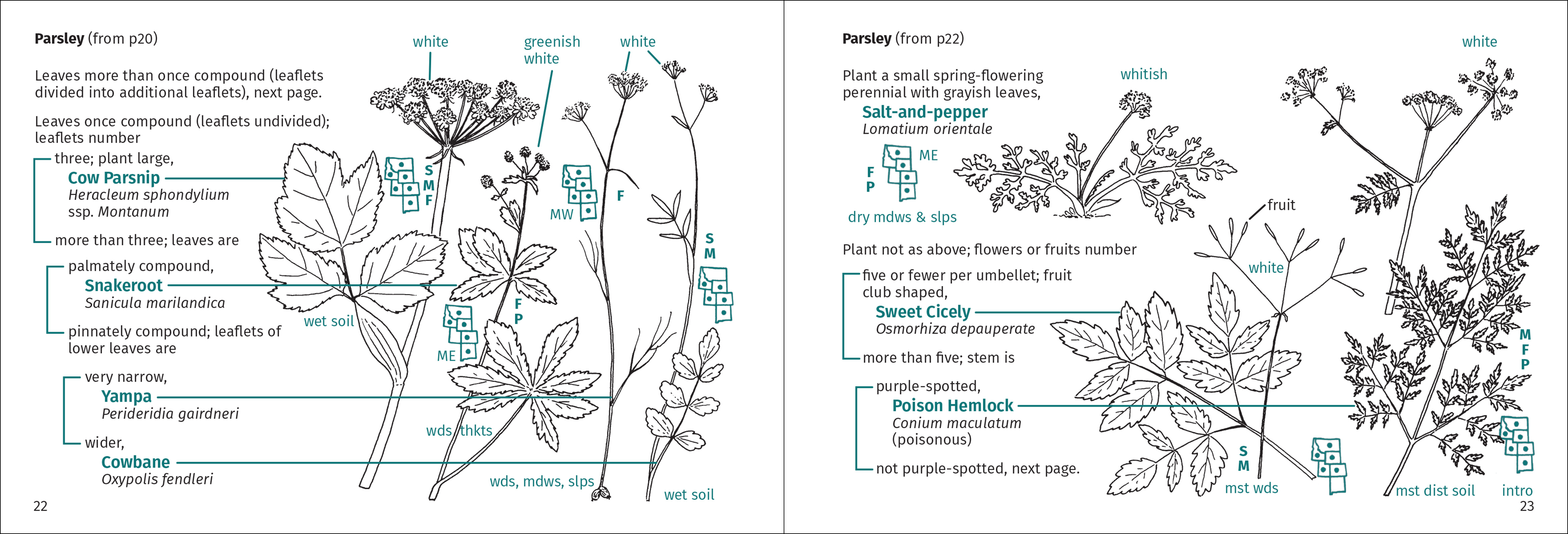 Rocky Mountain Flower Finder