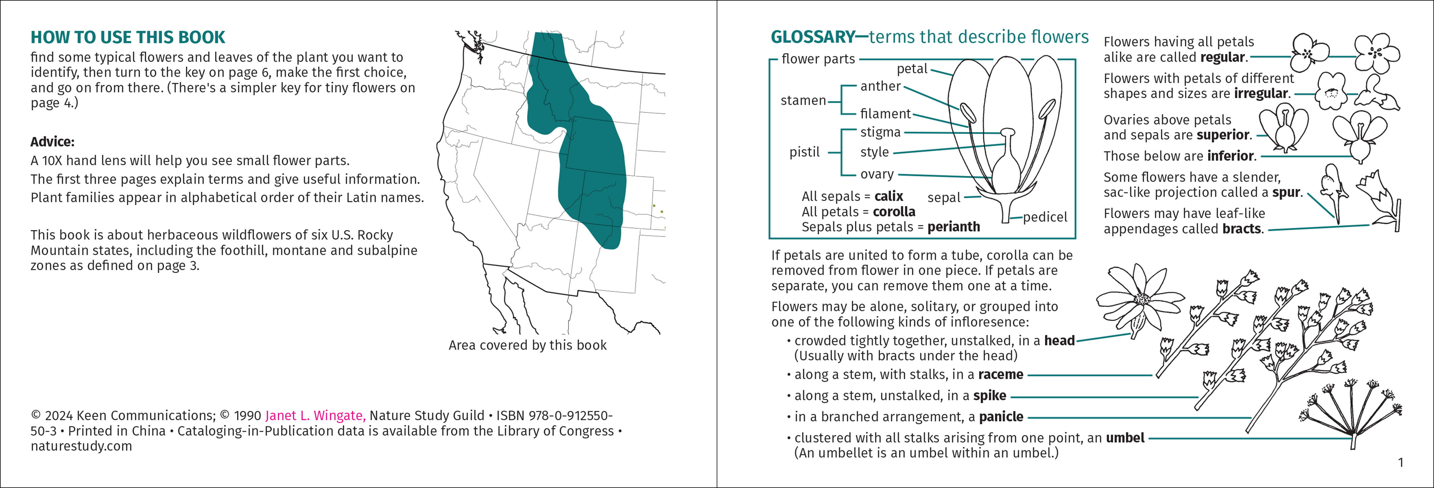 Rocky Mountain Flower Finder