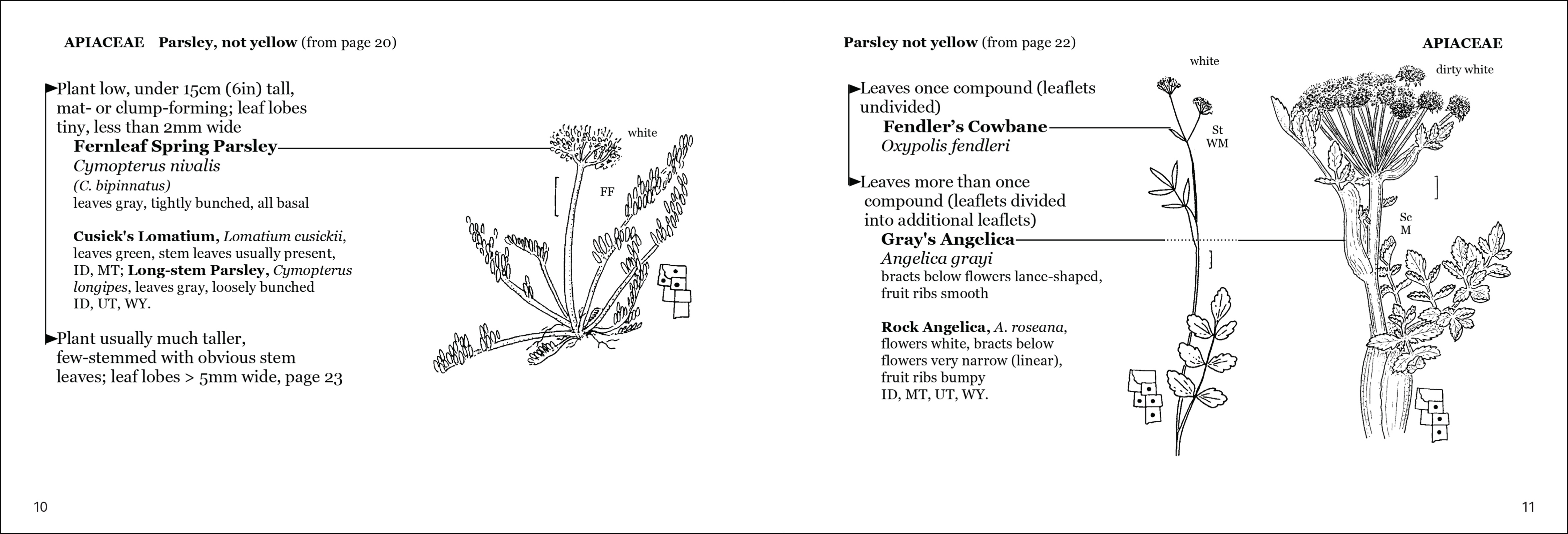 Alpine Flower Finder