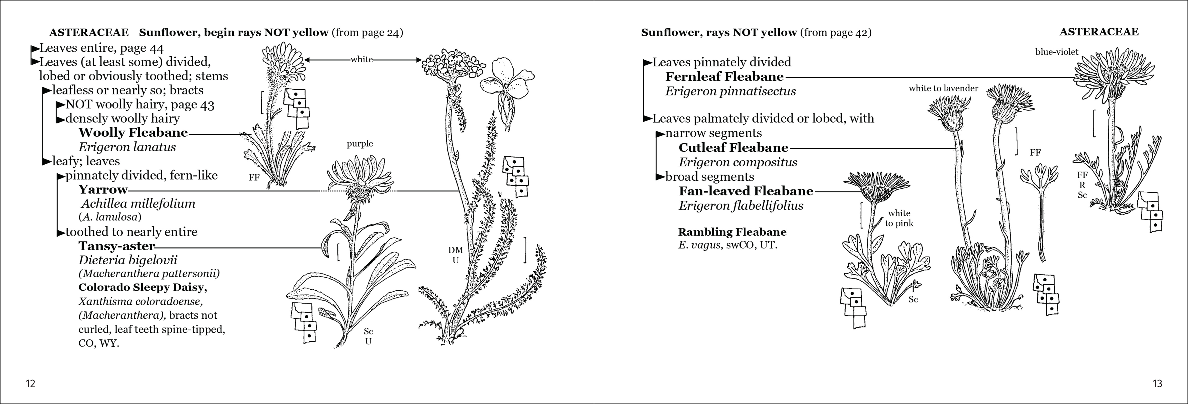 Alpine Flower Finder