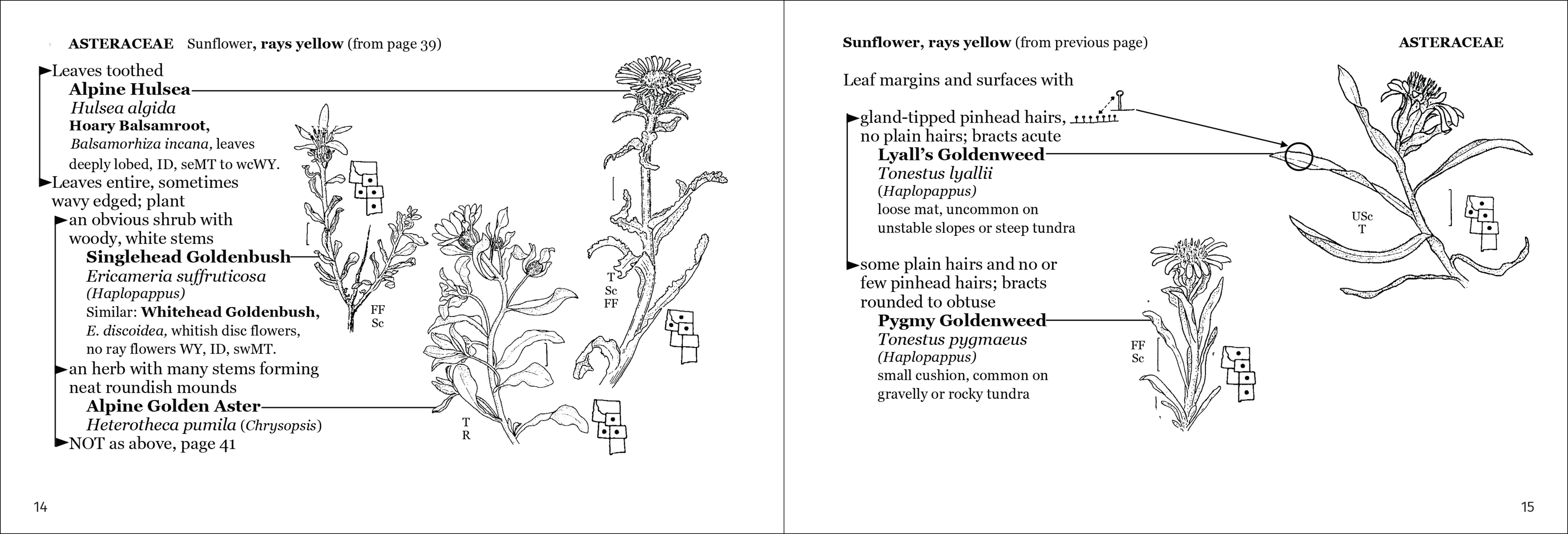 Alpine Flower Finder