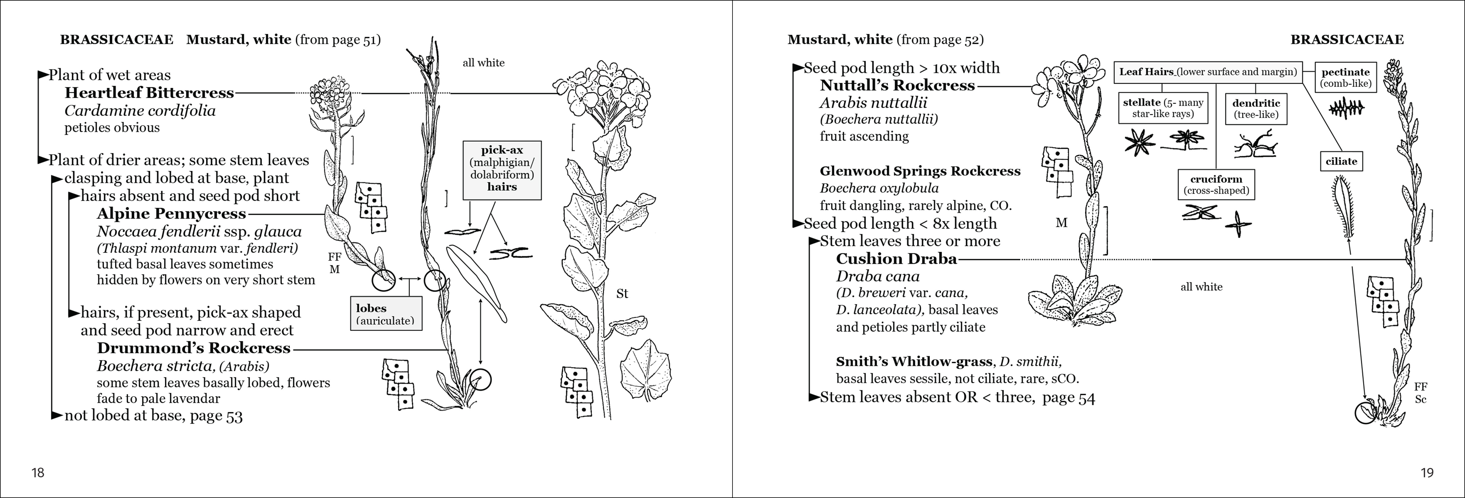 Alpine Flower Finder
