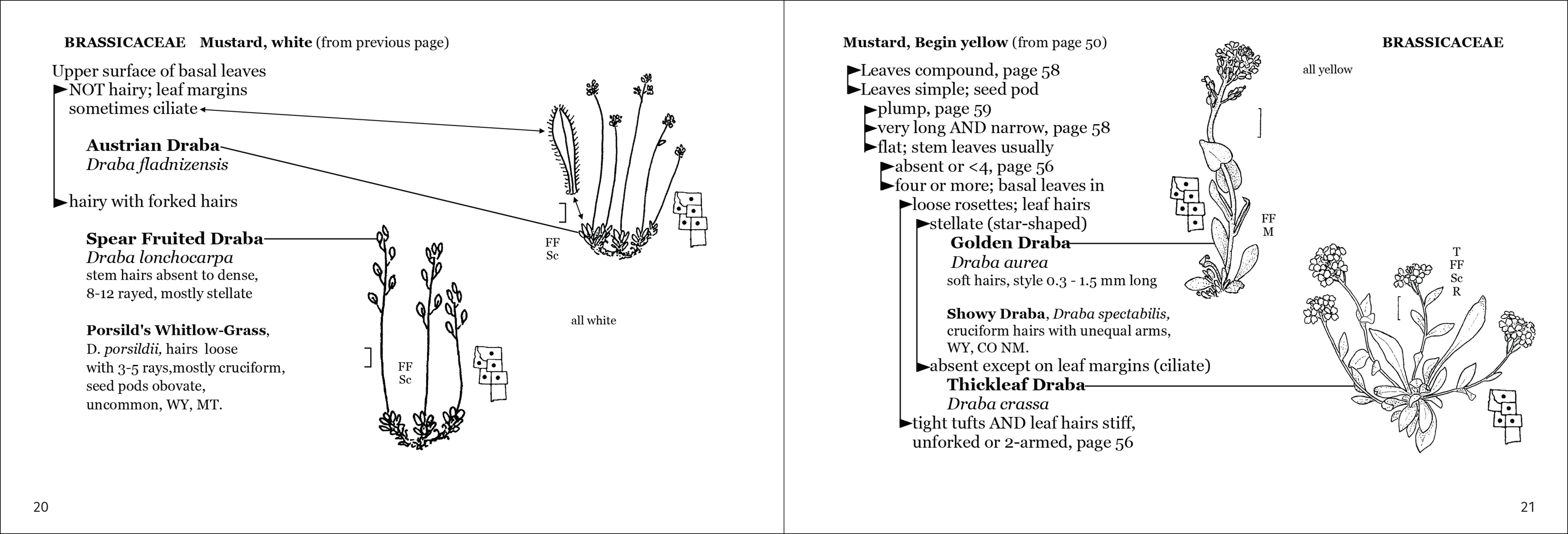 Alpine Flower Finder