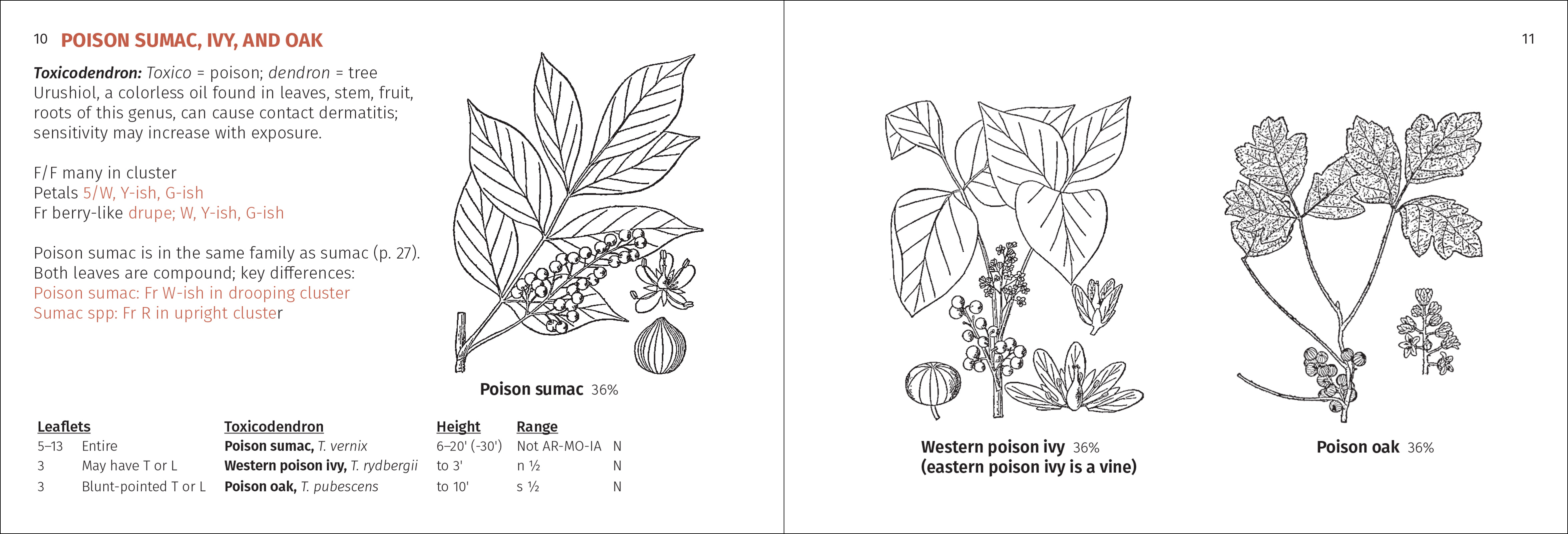 Shrub Finder