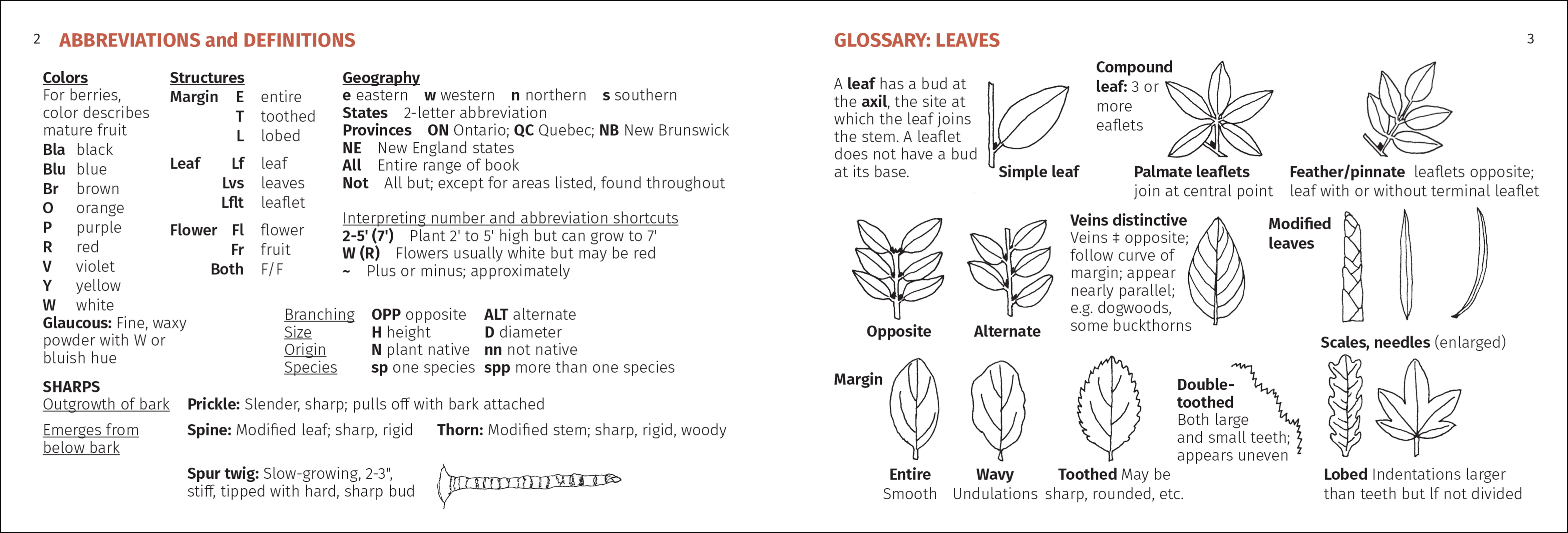 Shrub Finder
