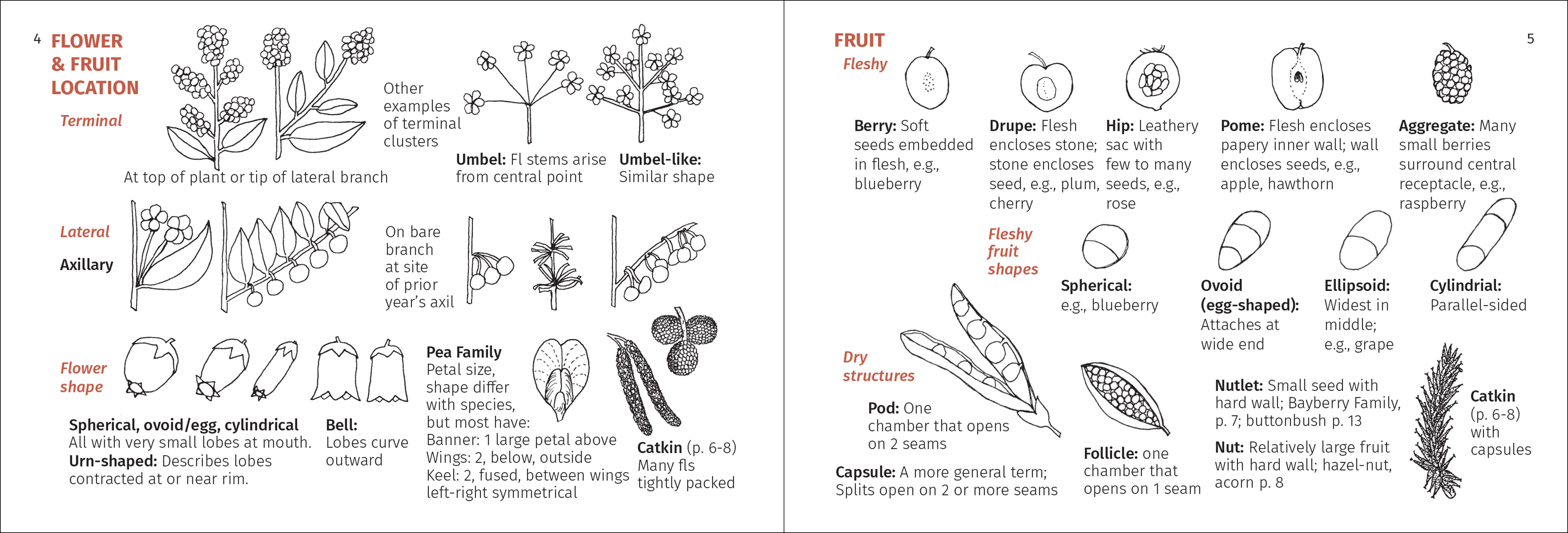 Shrub Finder