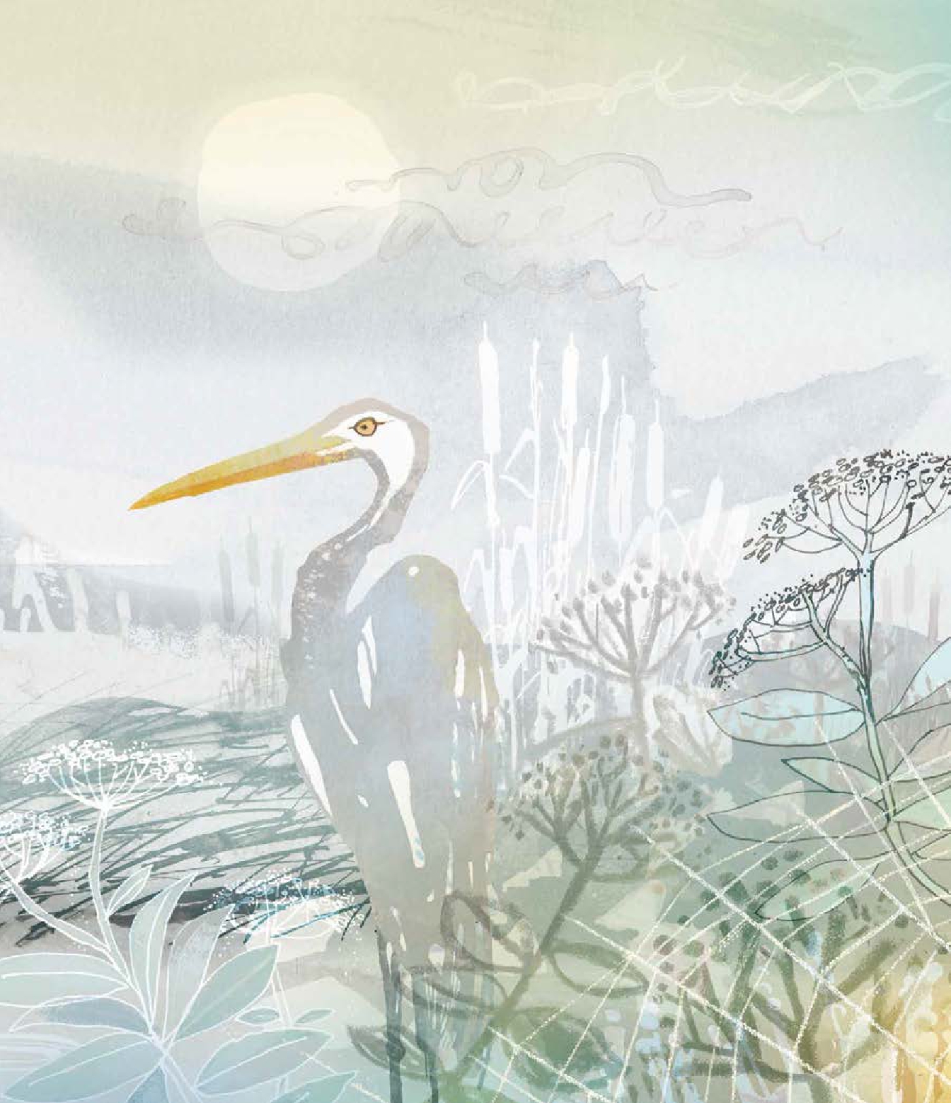 I Love You Every Colour