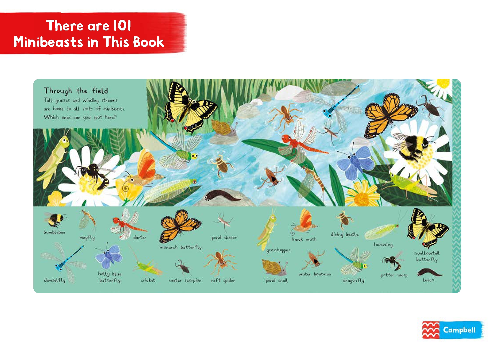 There are 101 Minibeasts in This Book