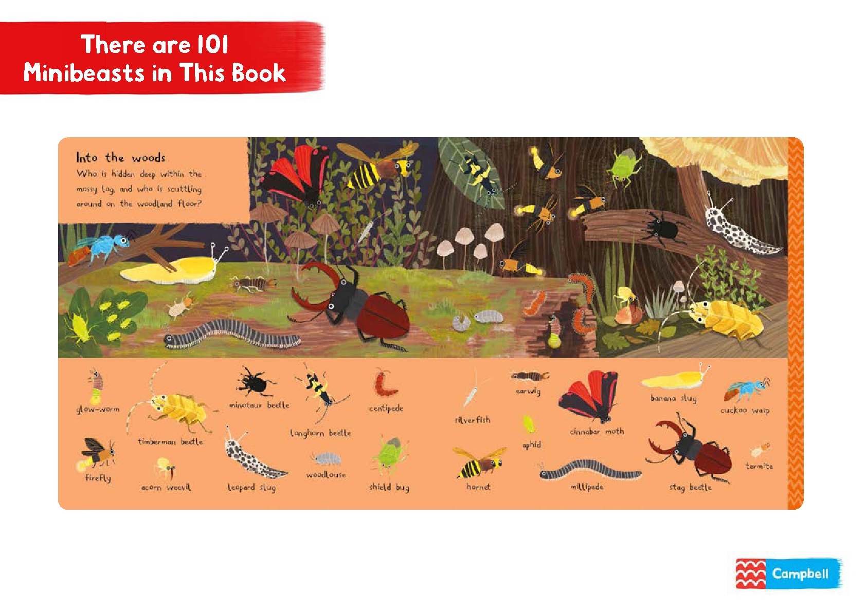 There are 101 Minibeasts in This Book