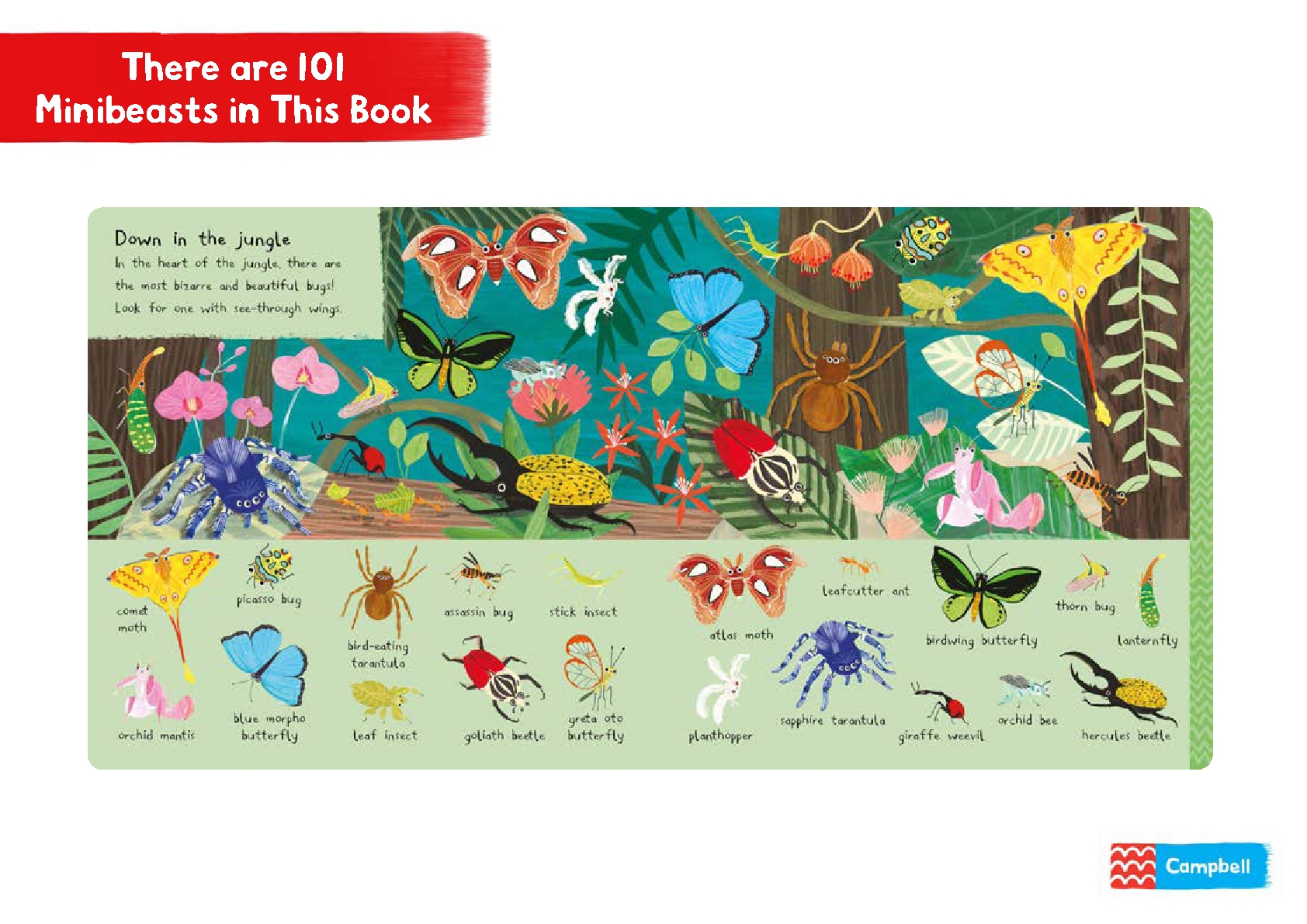 There are 101 Minibeasts in This Book