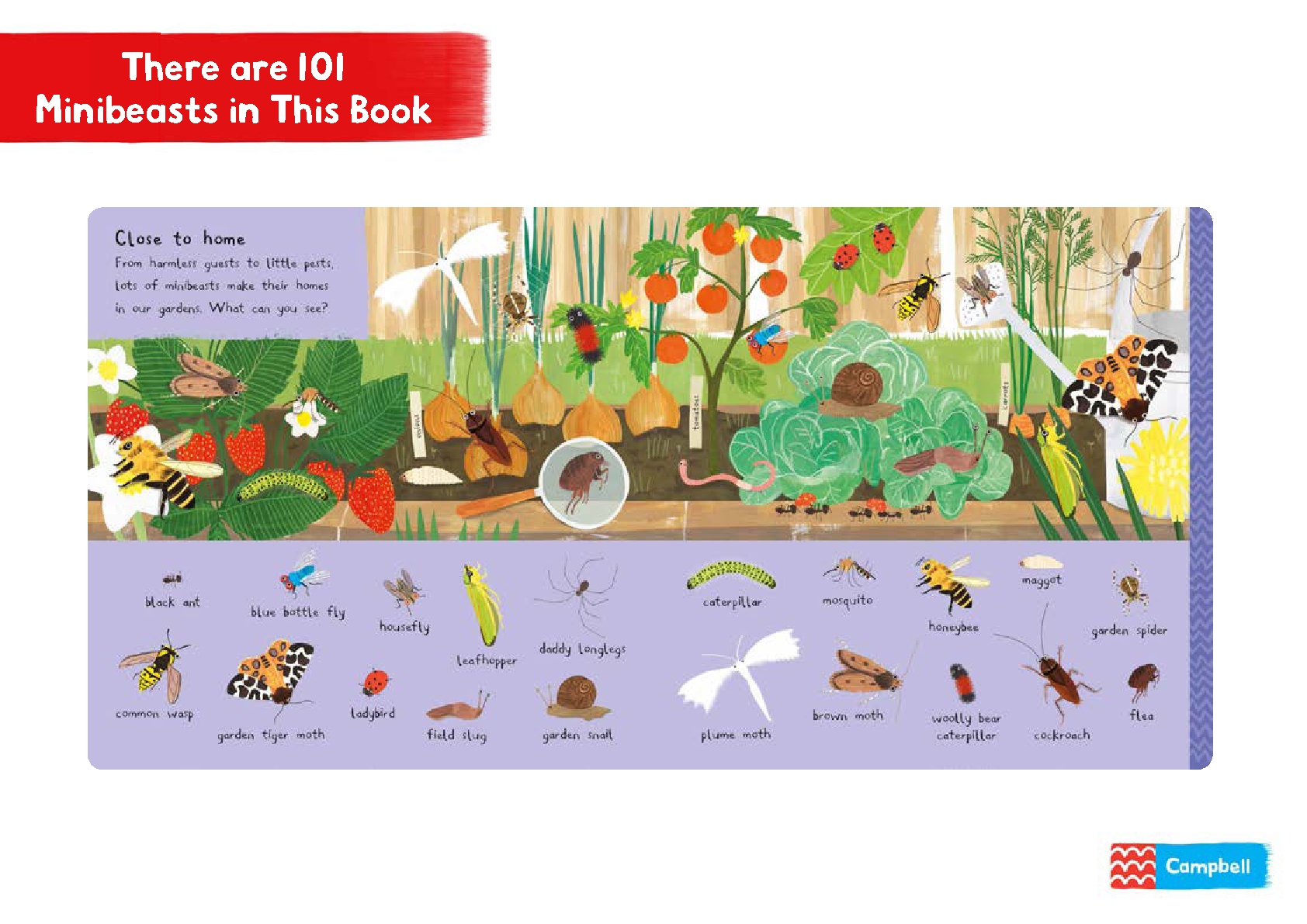 There are 101 Minibeasts in This Book